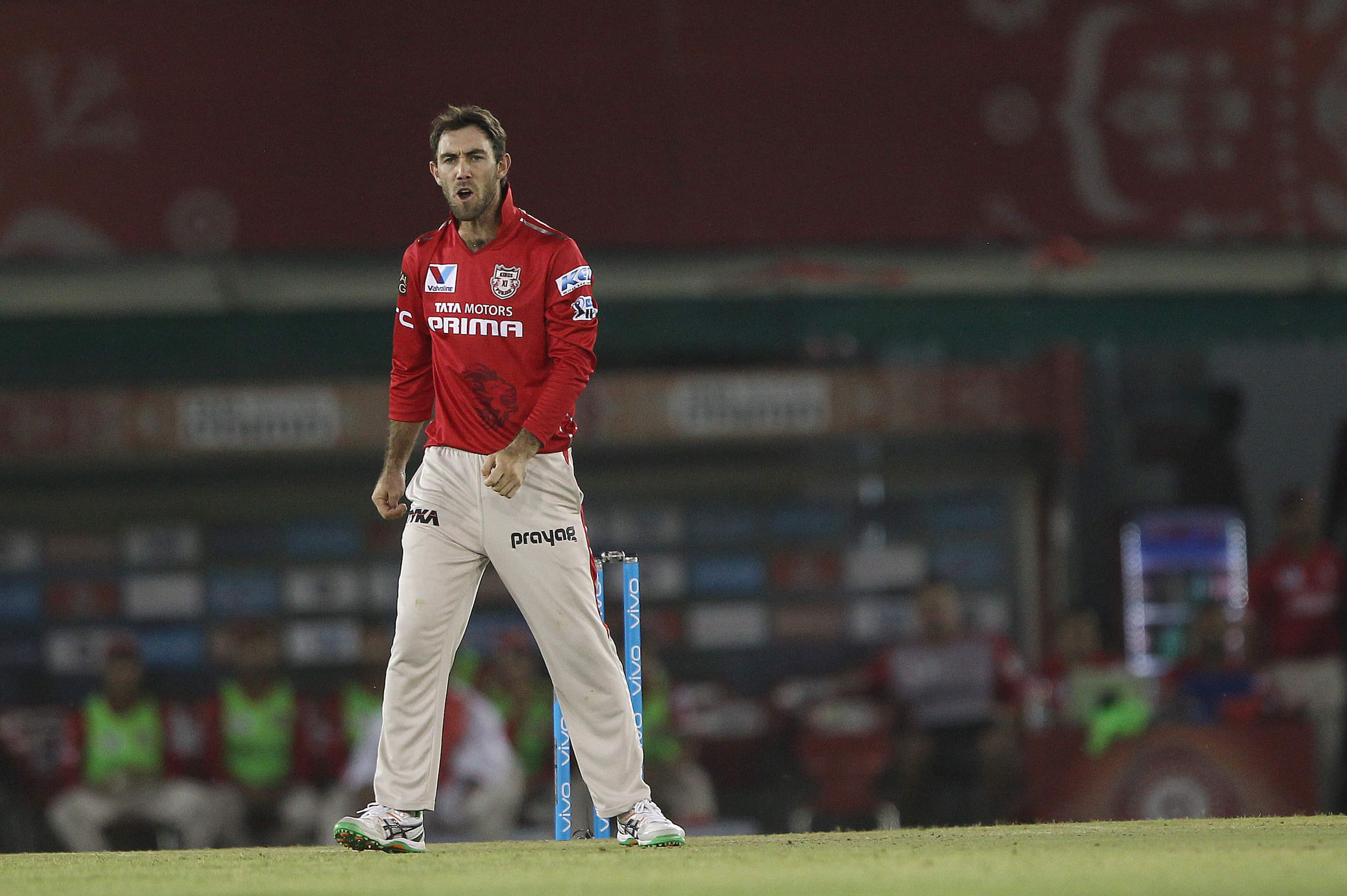 IPL 2025 Punjab Kings PBKS 4 overseas players who will start for Punjab Kings Glenn Maxwell