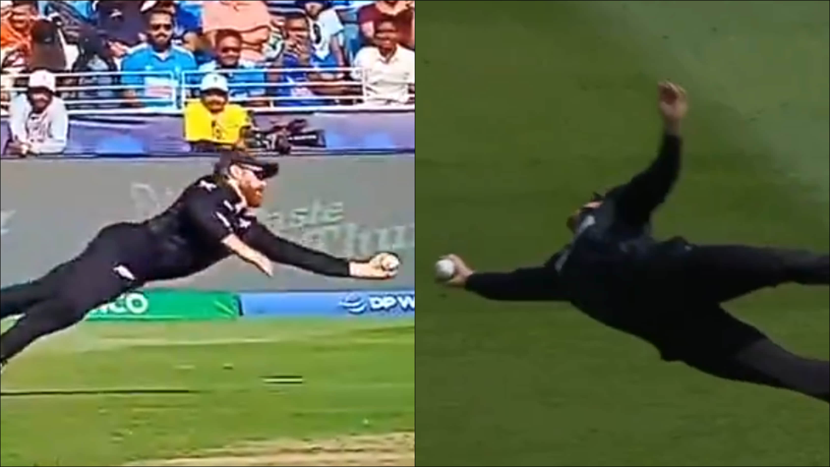 WATCH: Kane Williamson Emulates Glenn Phillips With Another Superb Catch