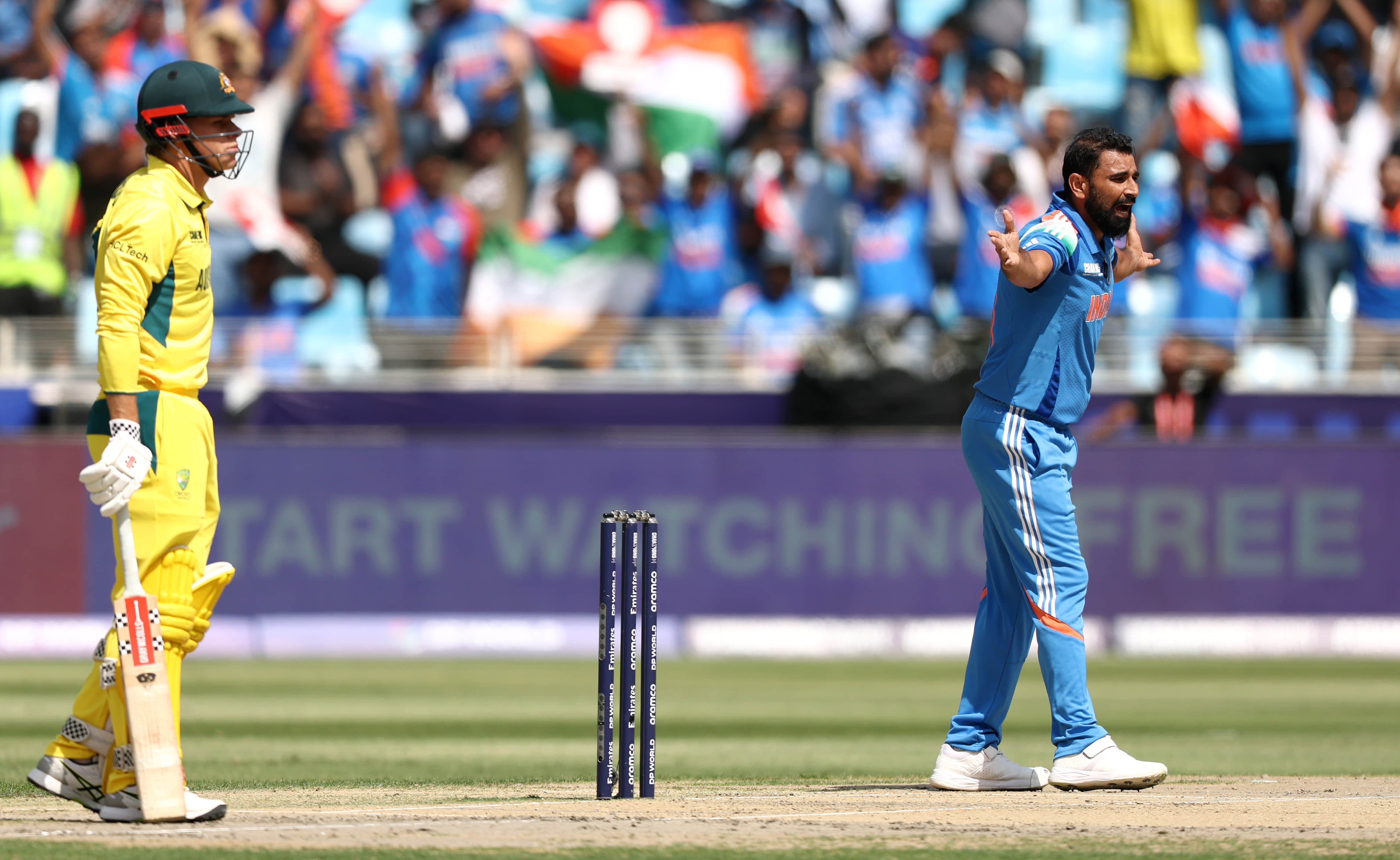 WATCH: Mohammed Shami Ends Cooper Connolly's Painful 9-Ball Stay In Semi-Final