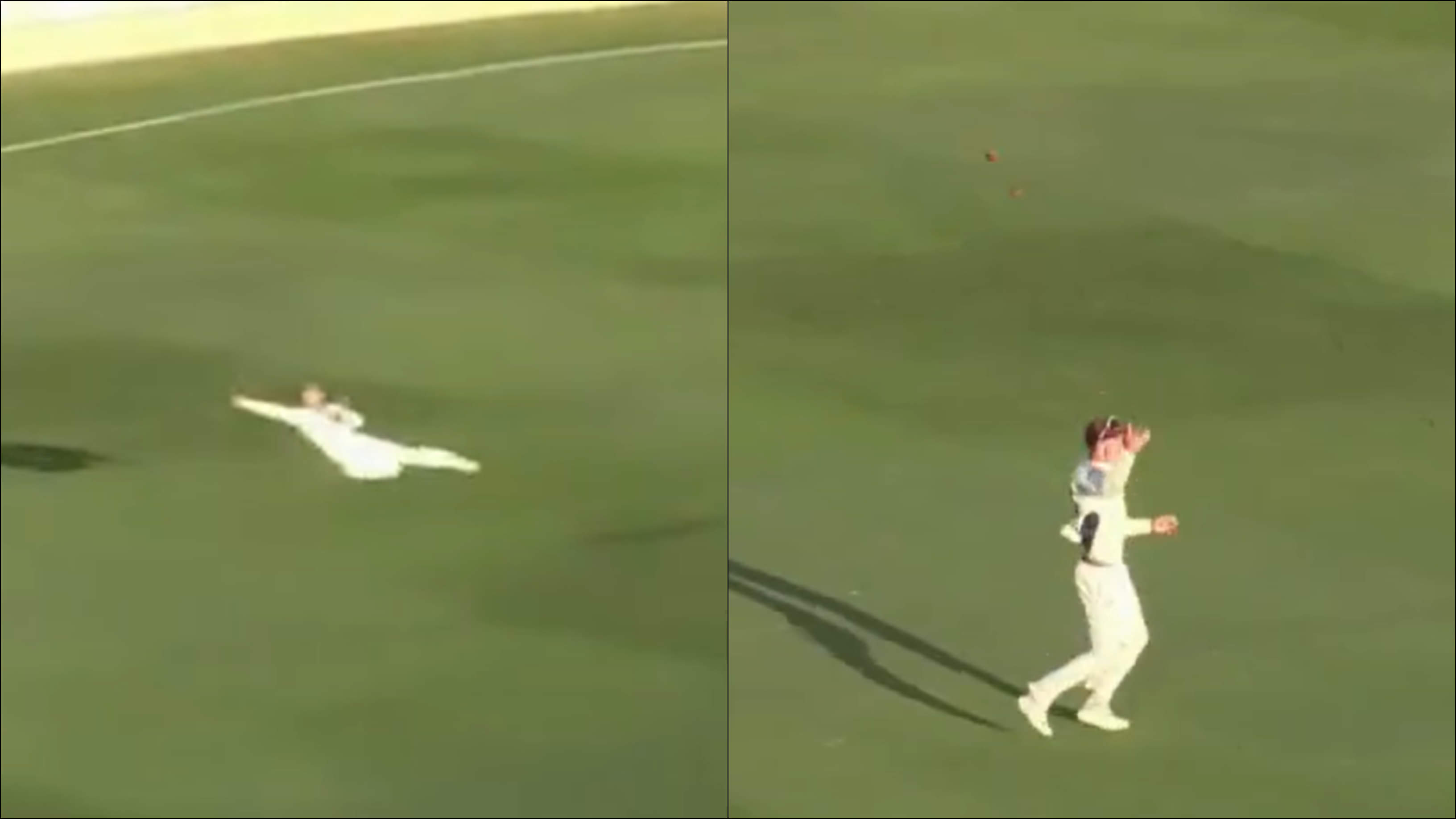 WATCH: Australian Fielder Goes Flying In Catch Of The Year Candidate