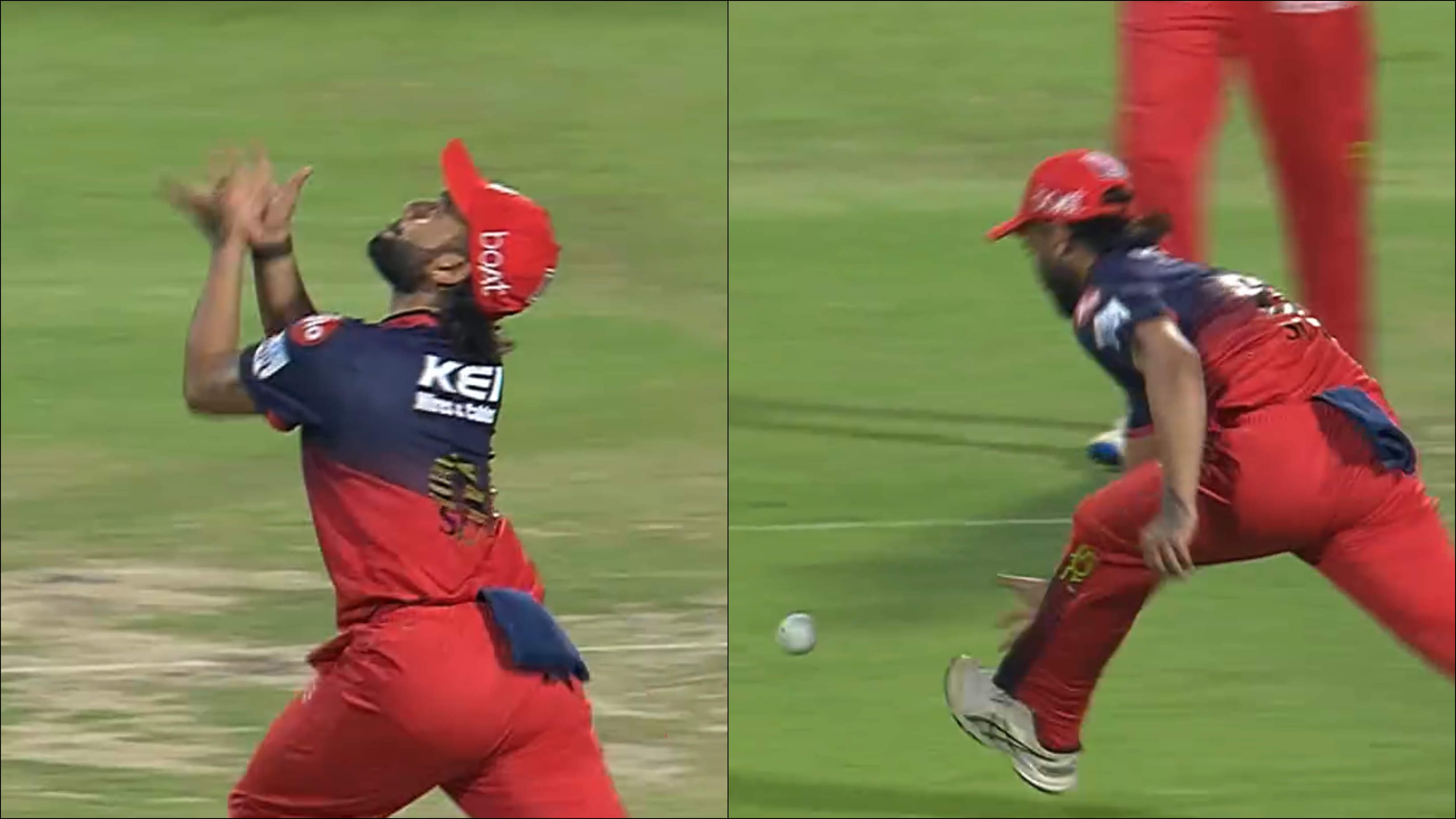 Watch: Suyash Sharma Drops Sitter But Josh Hazlewood Bounces Back