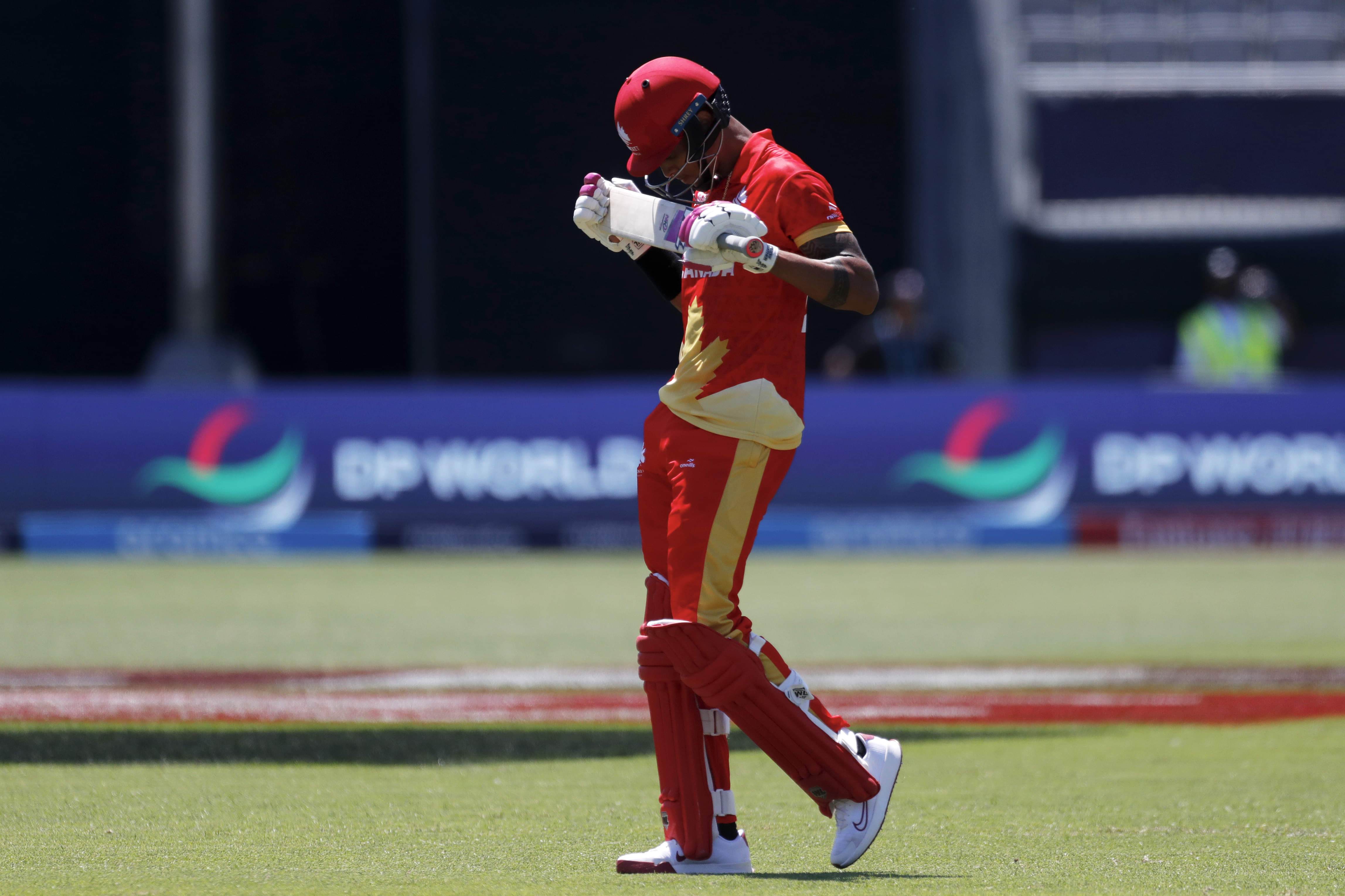 T20 World Cup 2024 Superstar Arrested For Drug Possession