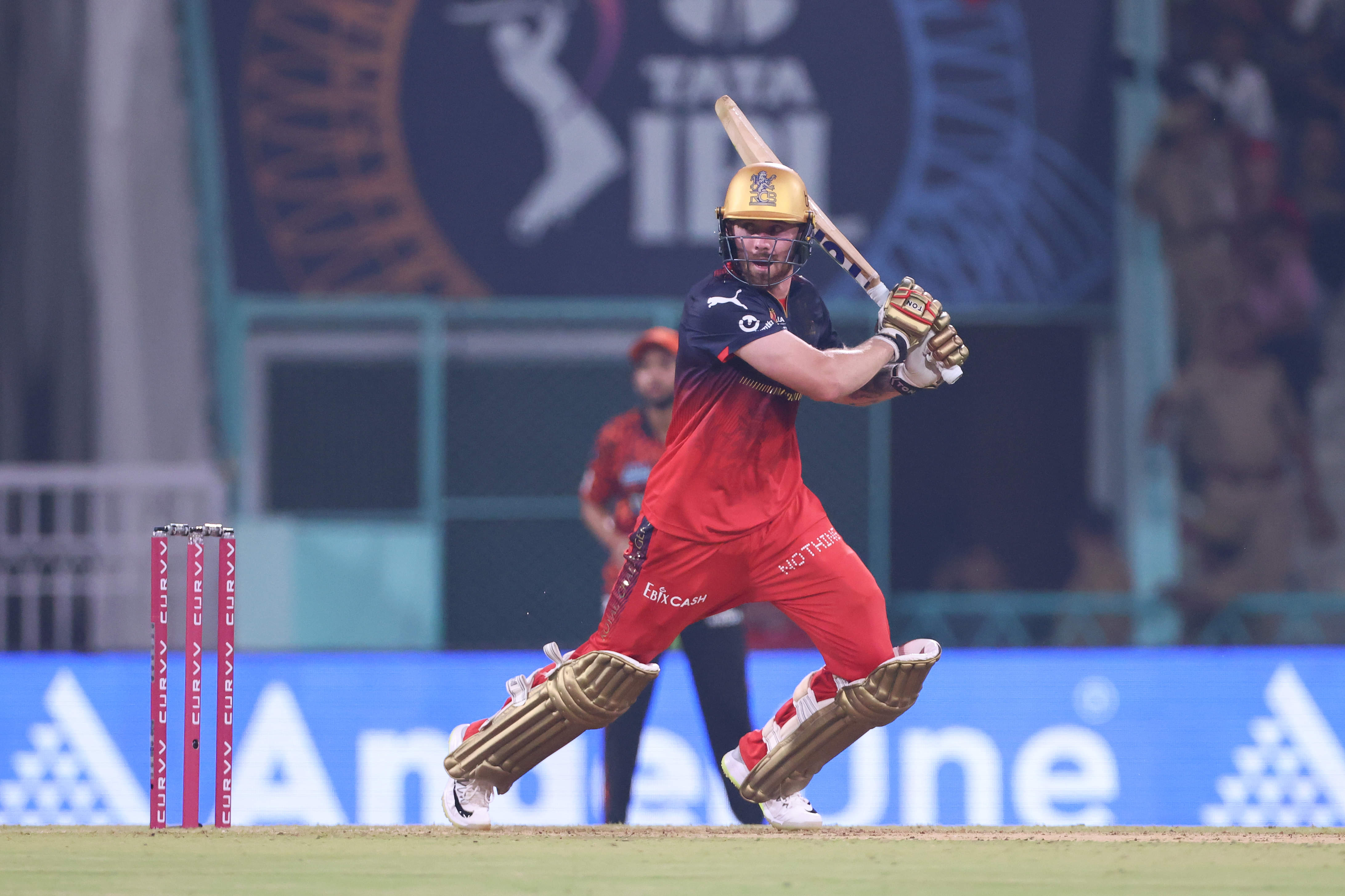 Phil Salt Returns To RCB Colours With Ferocious Assault Against SRH