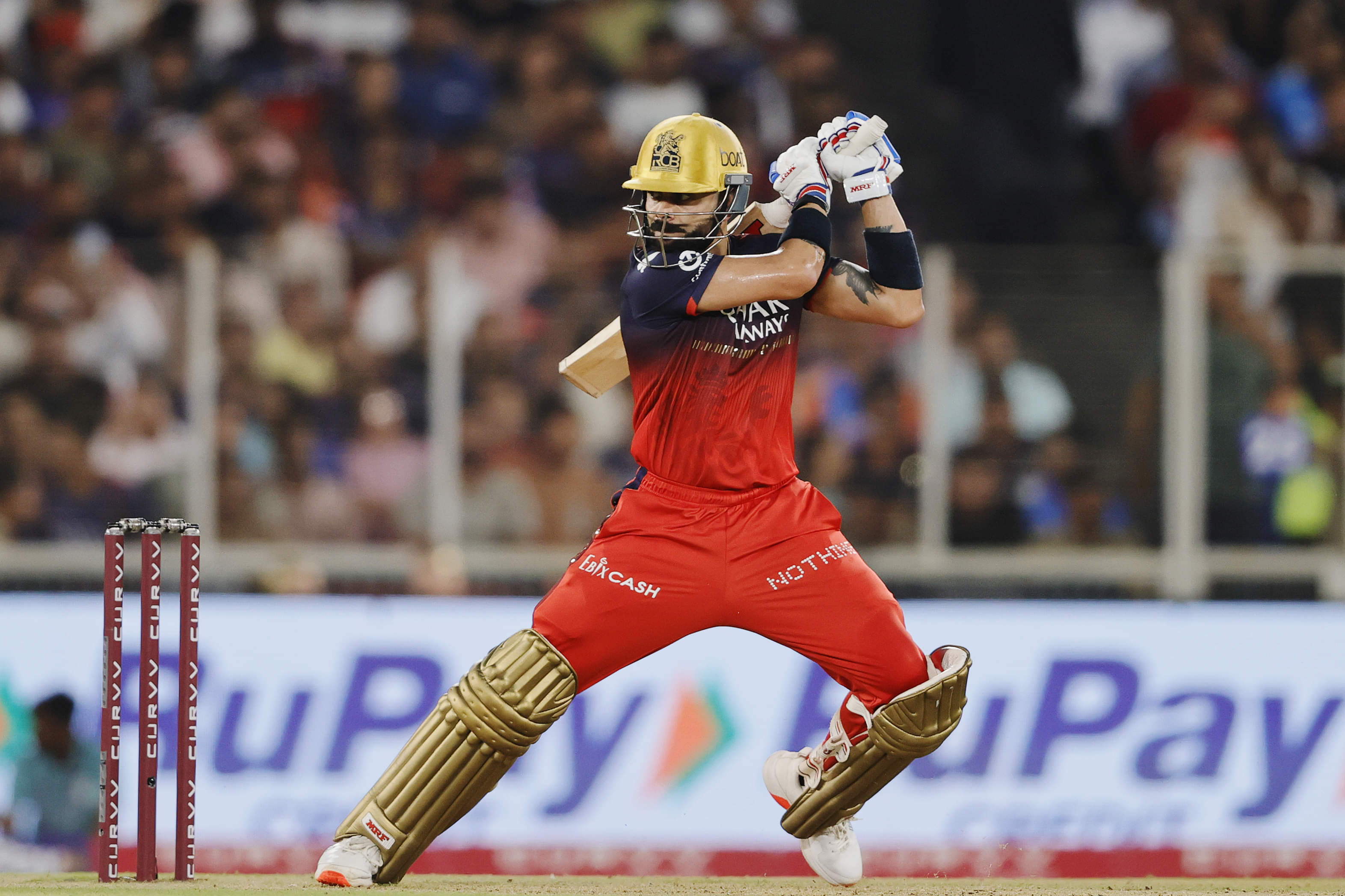 Virat Kohli Beats Rohit Sharma, David Warner's Record To Achieve THIS Milestone In IPL