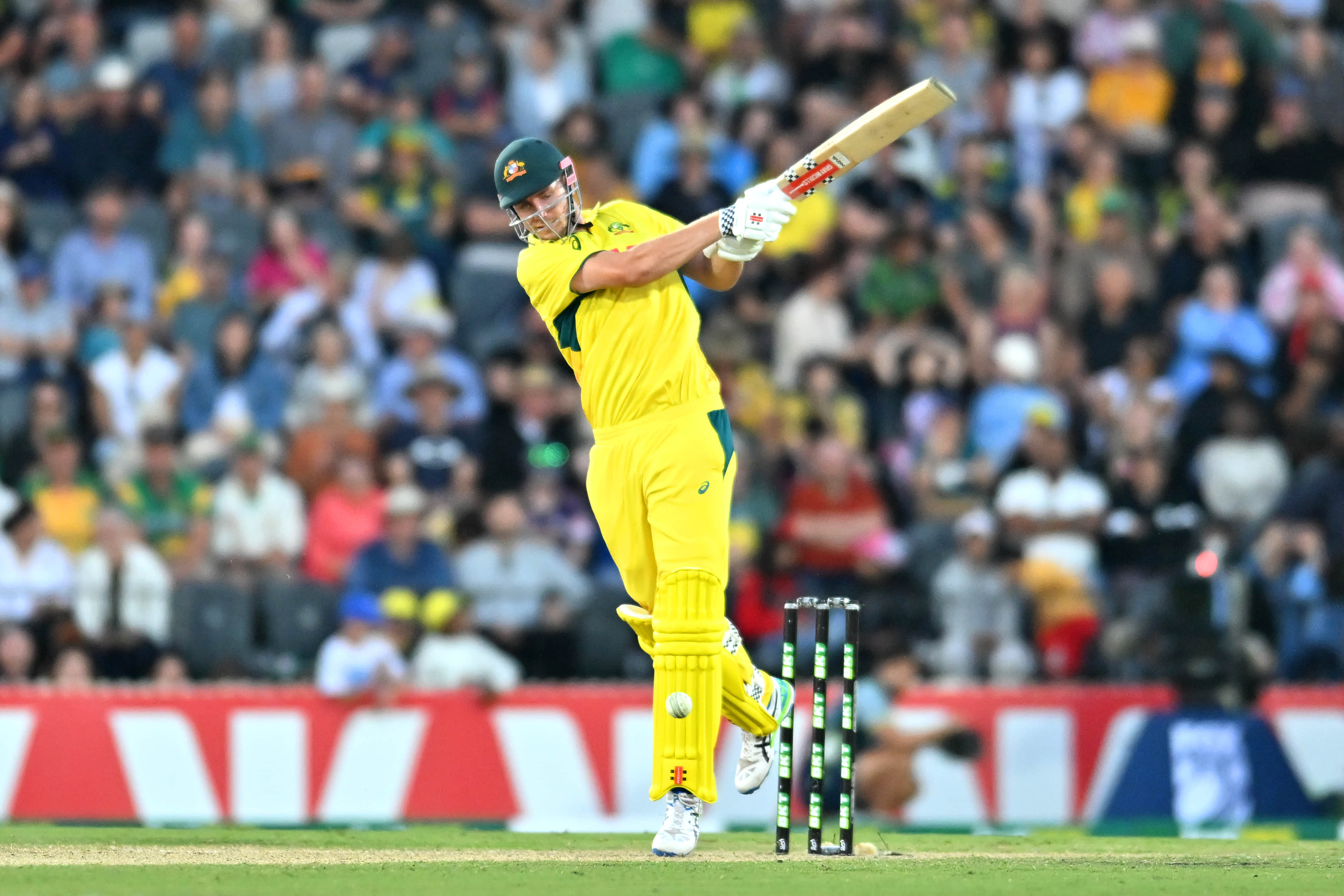 Australia Register Their 2nd Highest ODI Total But Cameron Green Misses Out On Massive Record