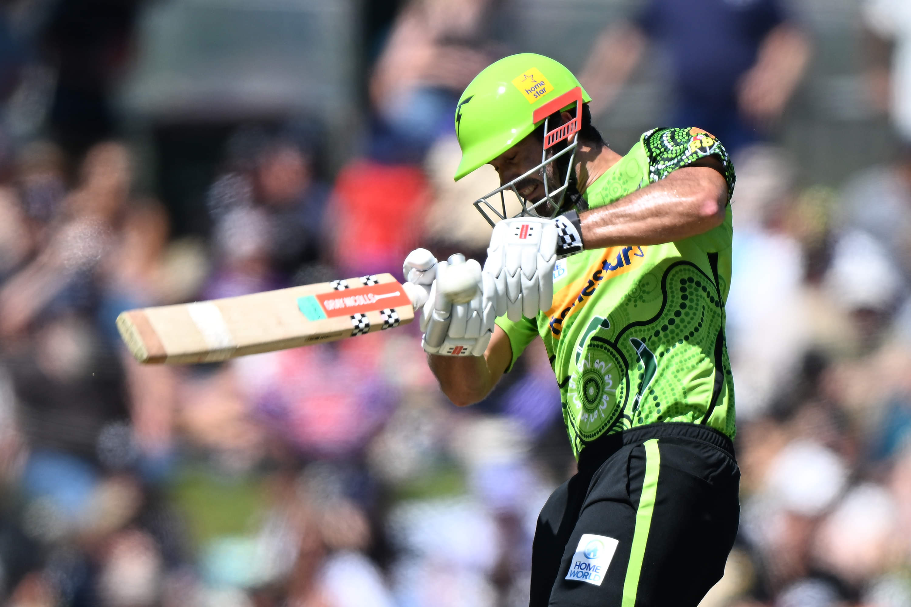 KFC T20 Max Competition 2025 Match 19 Live: Sunshine Coast vs South Brisbane LIVE, Probable Playing 11, Where To Watch, Live Streaming & Telecast, Match Timings In IST, IPL Stars & Points Table