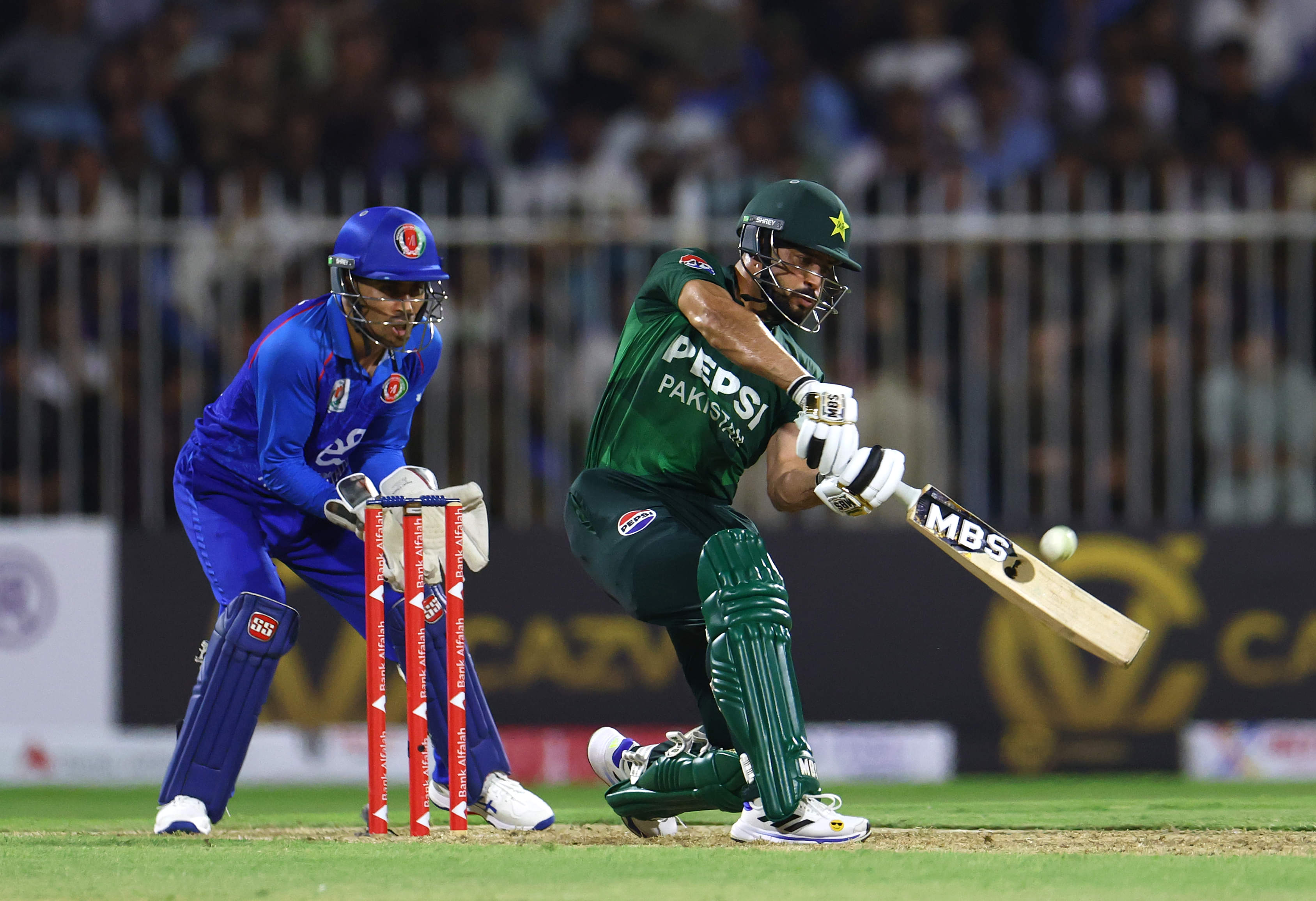 Afghanistan vs Pakistan LIVE, UAE Tri-Series AFG vs PAK Probable Playing 11, Where To Watch, Live Streaming & Telecast, Match Timings In IST, IPL Players to Watch Out For, Points Table & More