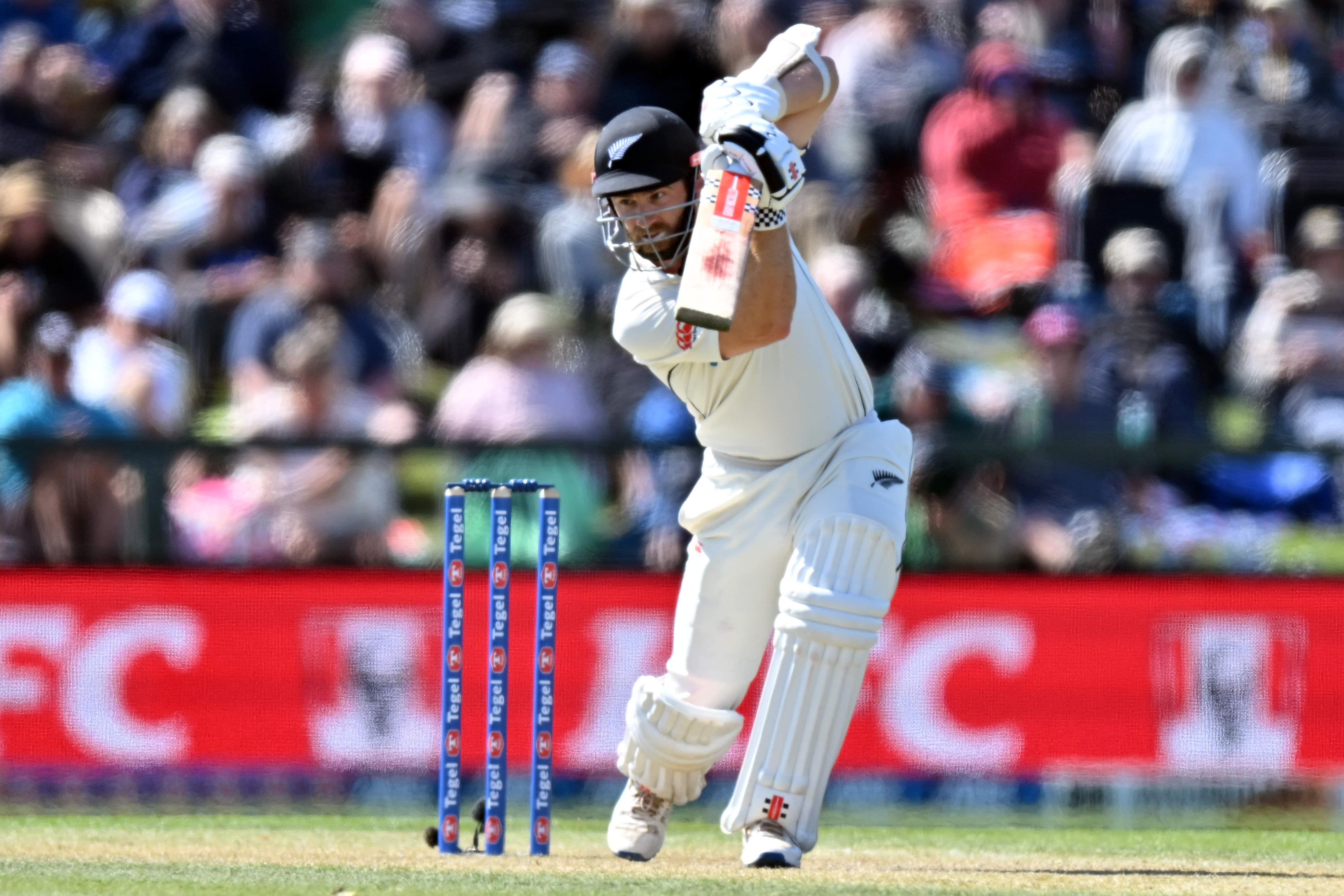 Kane Williamson In Line To Play His First Test Of 2025 As He Returns For West Indies Series