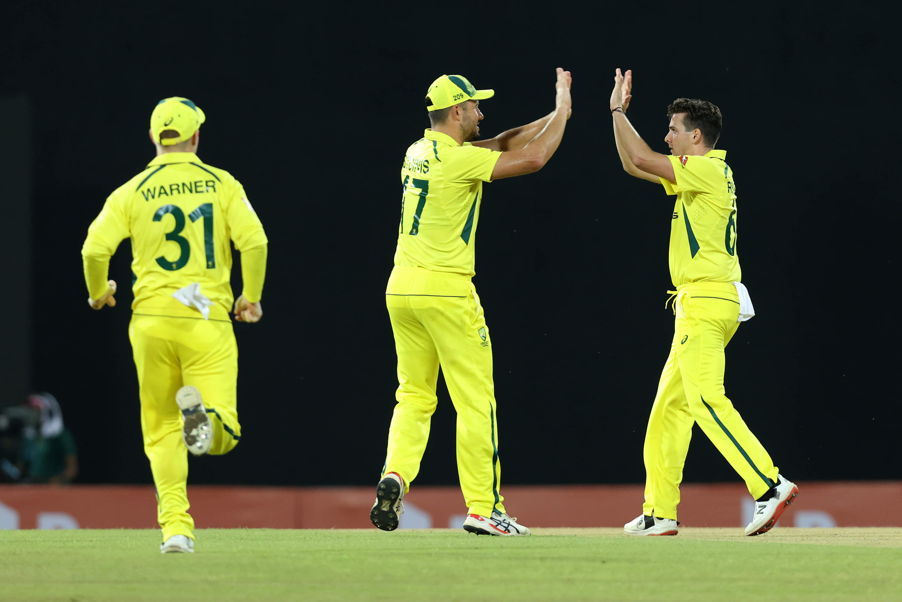 Matthew Wade holds nerve to help Australia seal series 