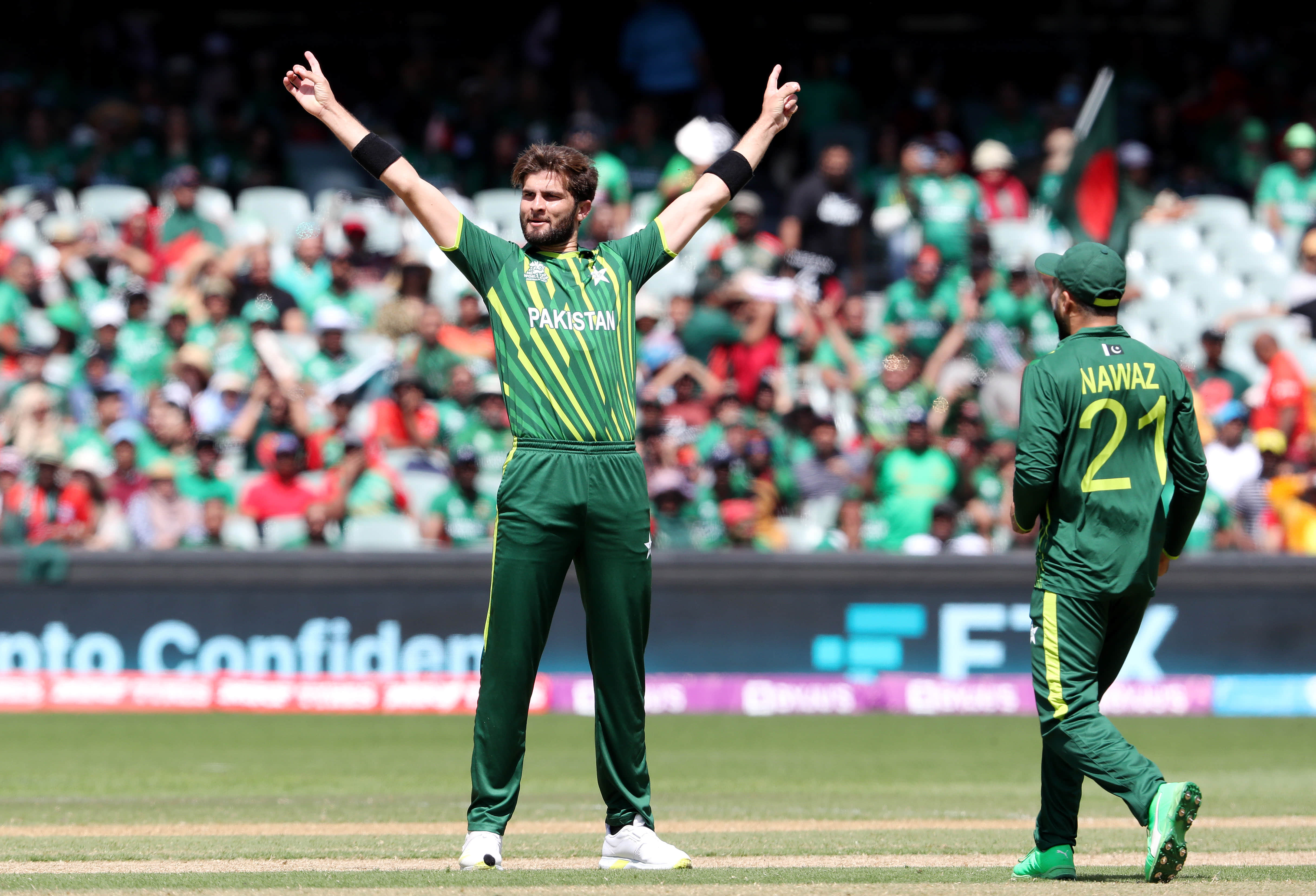 As it happened - Afridi, Haris propel Pakistan to the semis