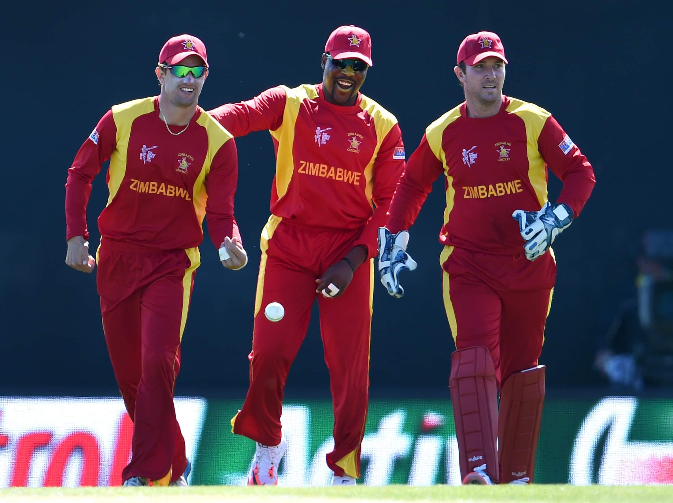 Craig Ervine to lead Zimbabwe in both white-ball formats