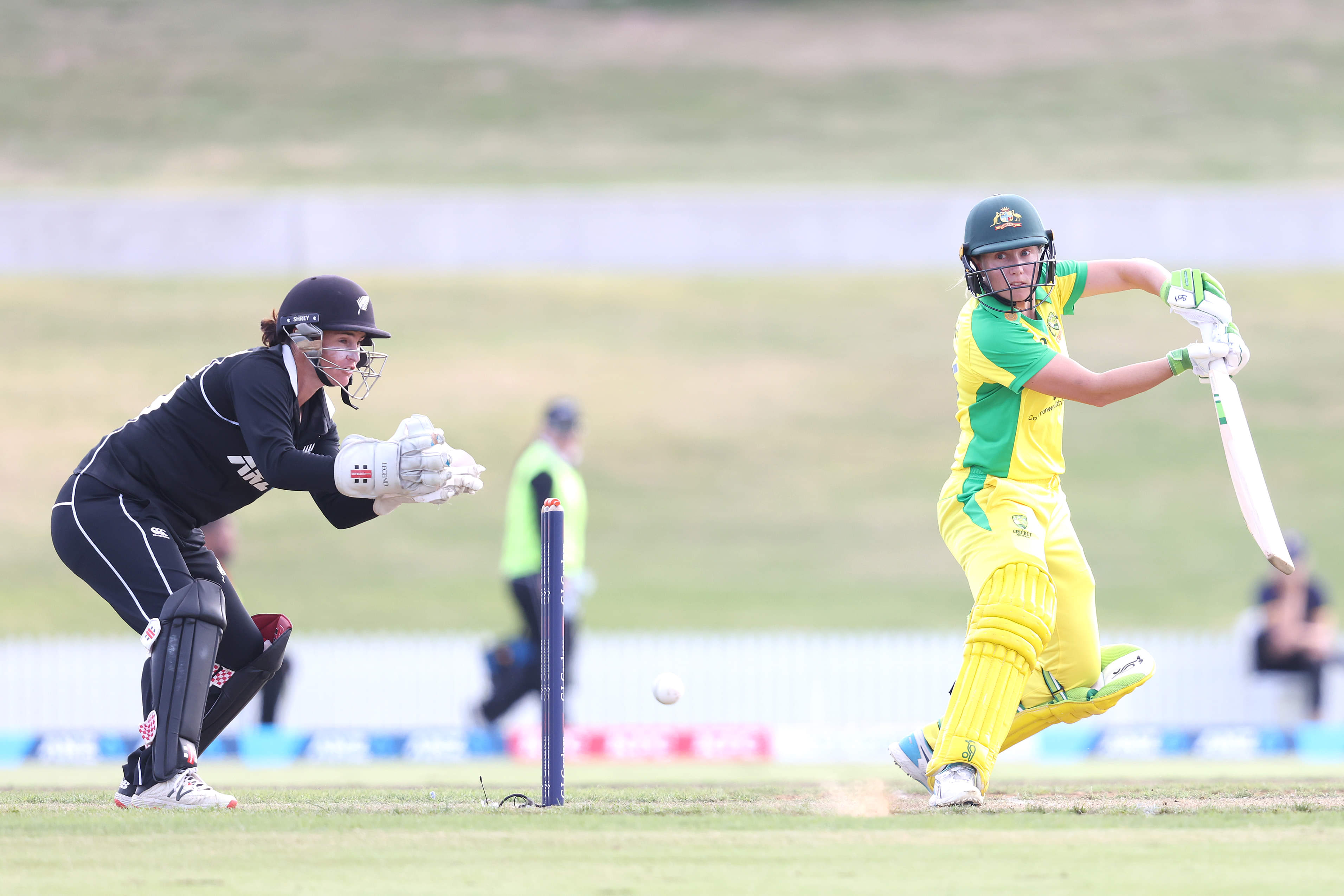 With Women's IPL, India will be unbeatable in 10 years: Healy