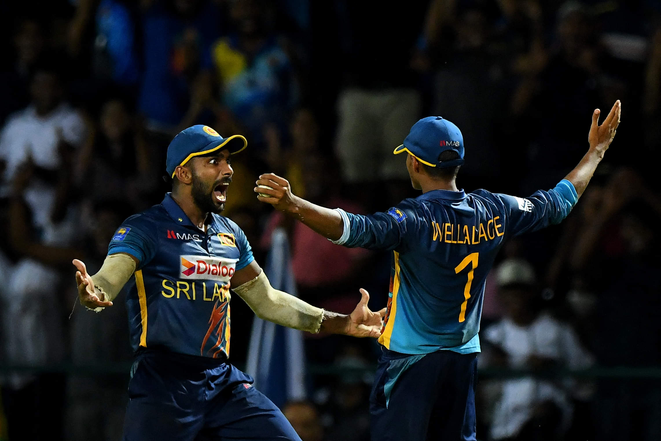 Chamika Karunaratne is a’ born warrior’: Shanaka