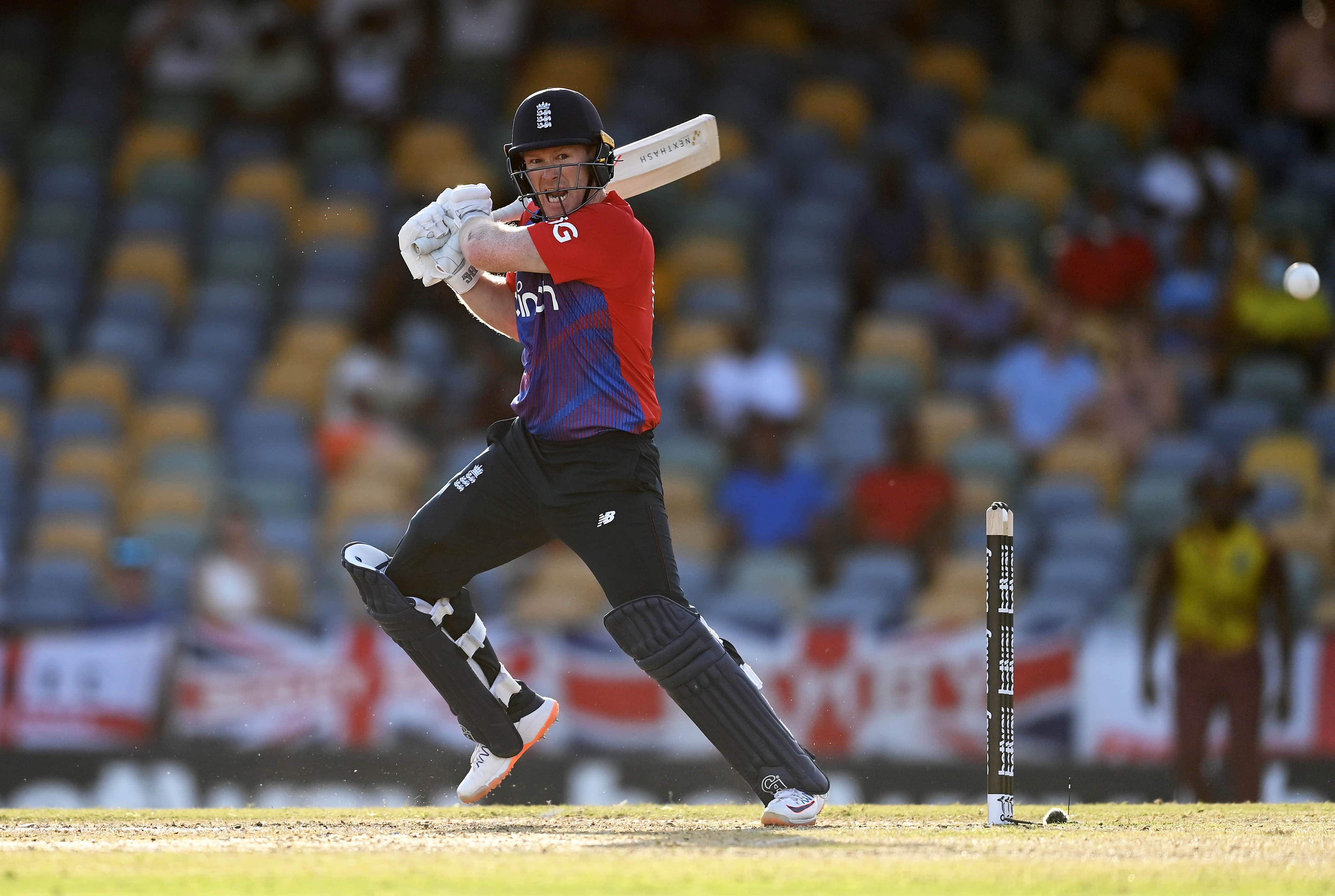 England captain Morgan expects to miss matches with leg injury