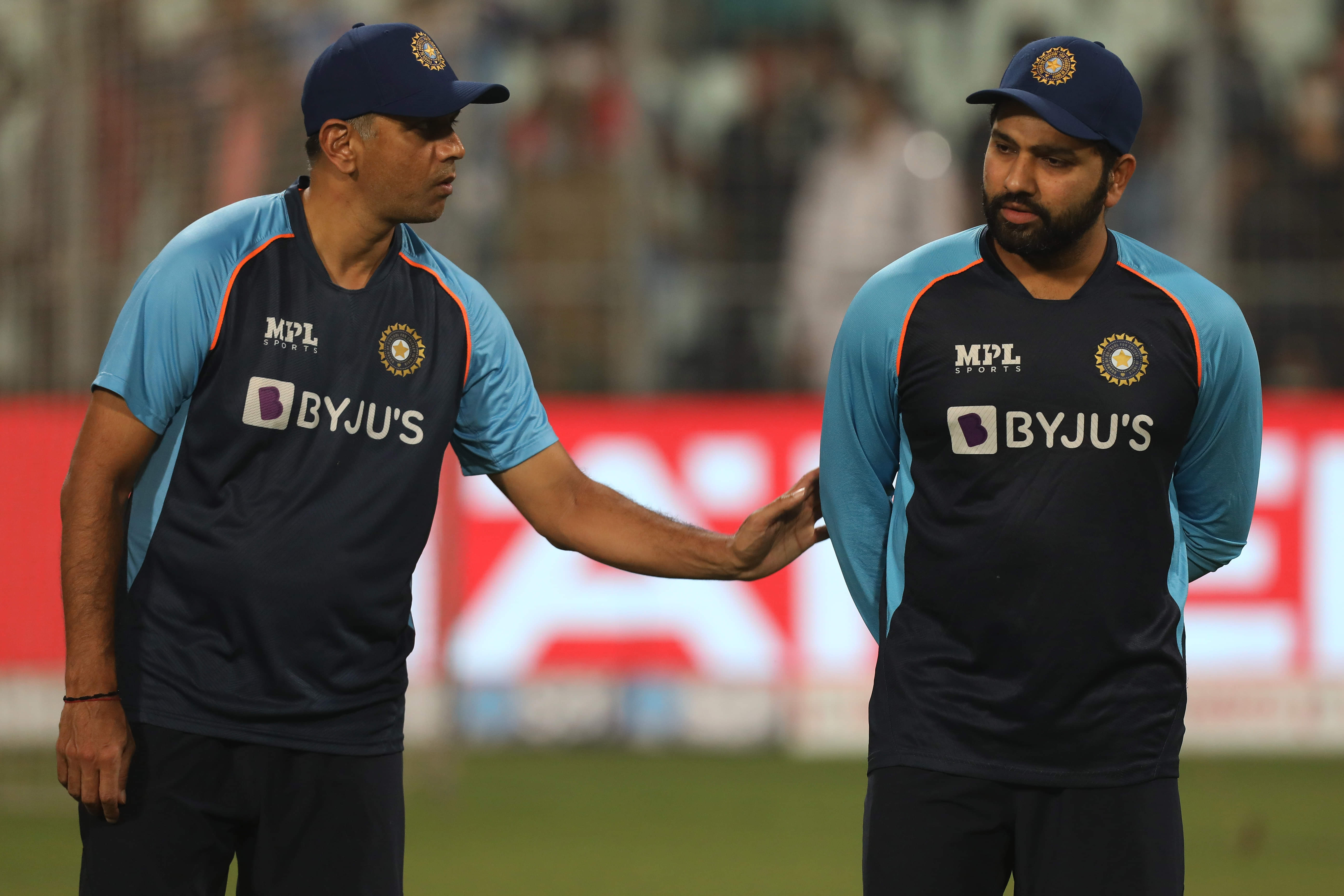 Want to firm up T20 World Cup squad as quickly as possible: Rahul Dravid