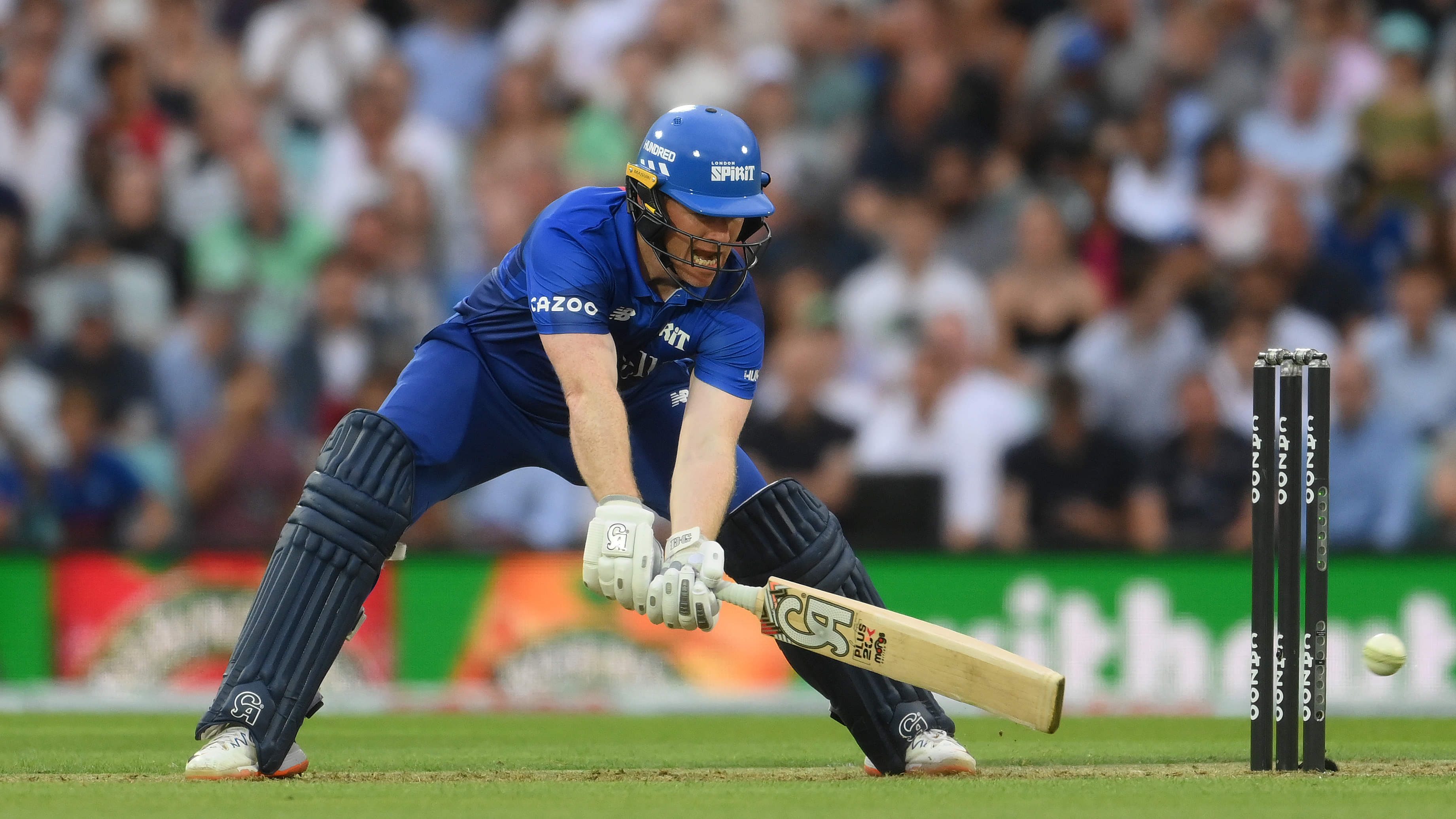 Old horses, maiden 'hundred', emotions of third umpire, and more