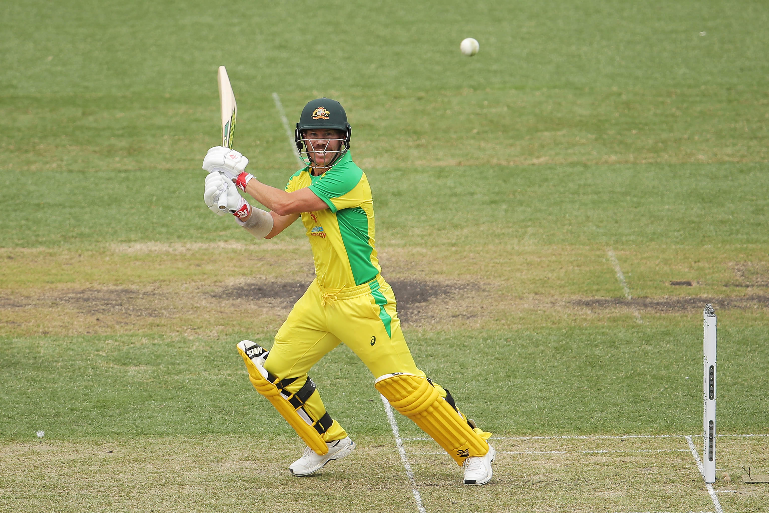 Fantasy: Bank on Warner and Zampa’s invincibility at home