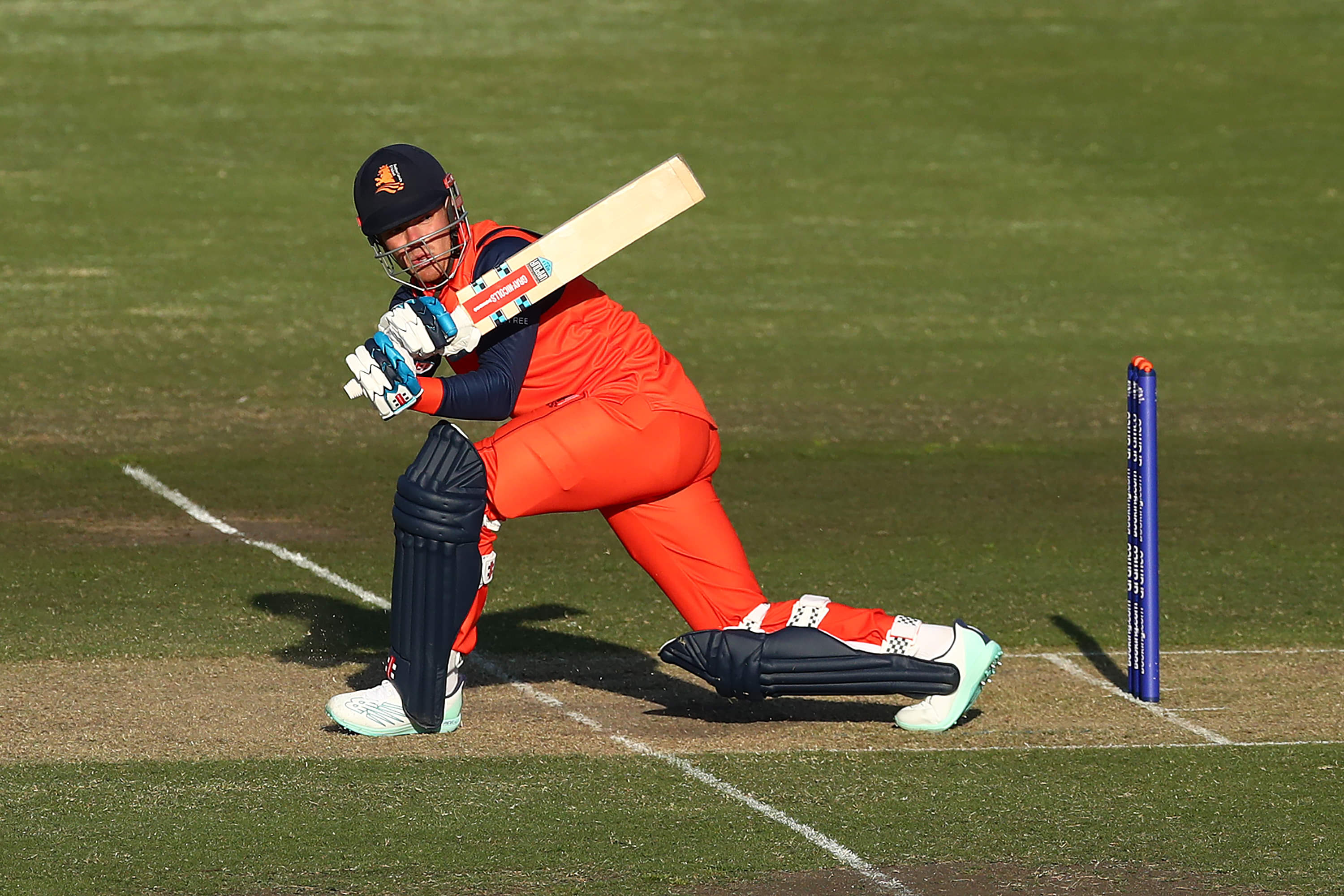 Fantasy: Back Bas de Leede to be your power player