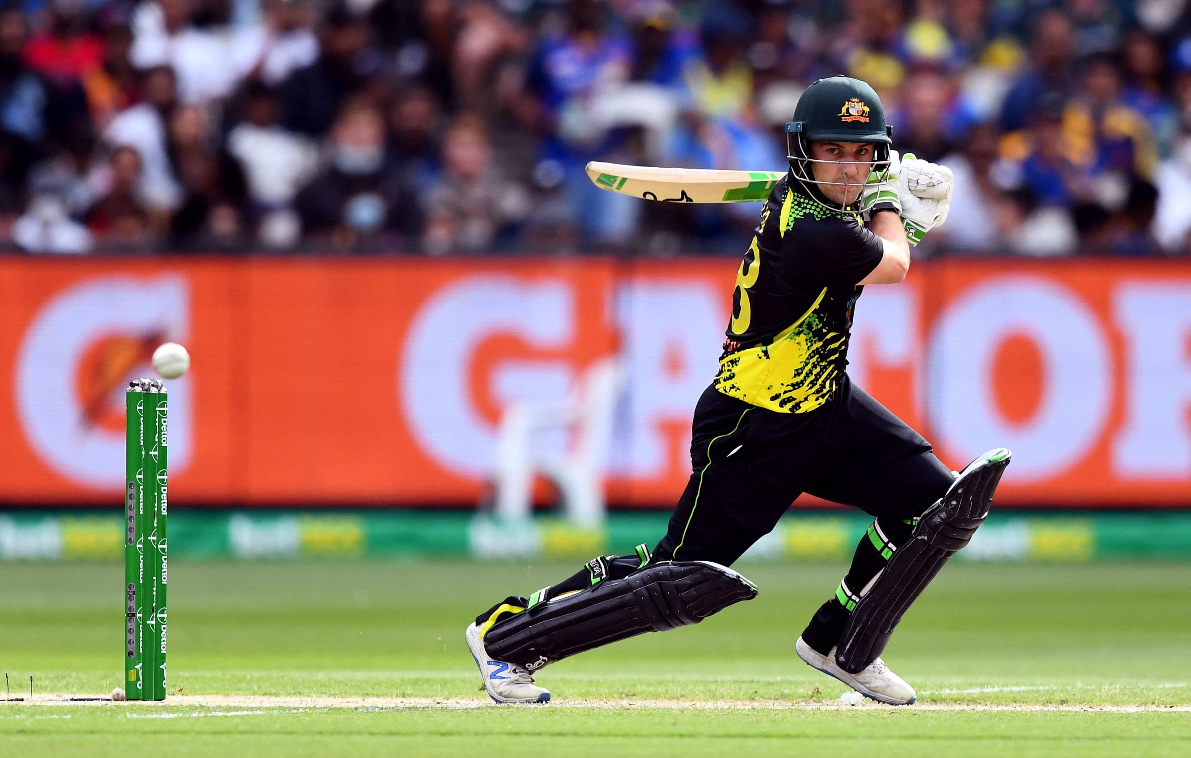 Josh Inglis ruled out of T20 World Cup