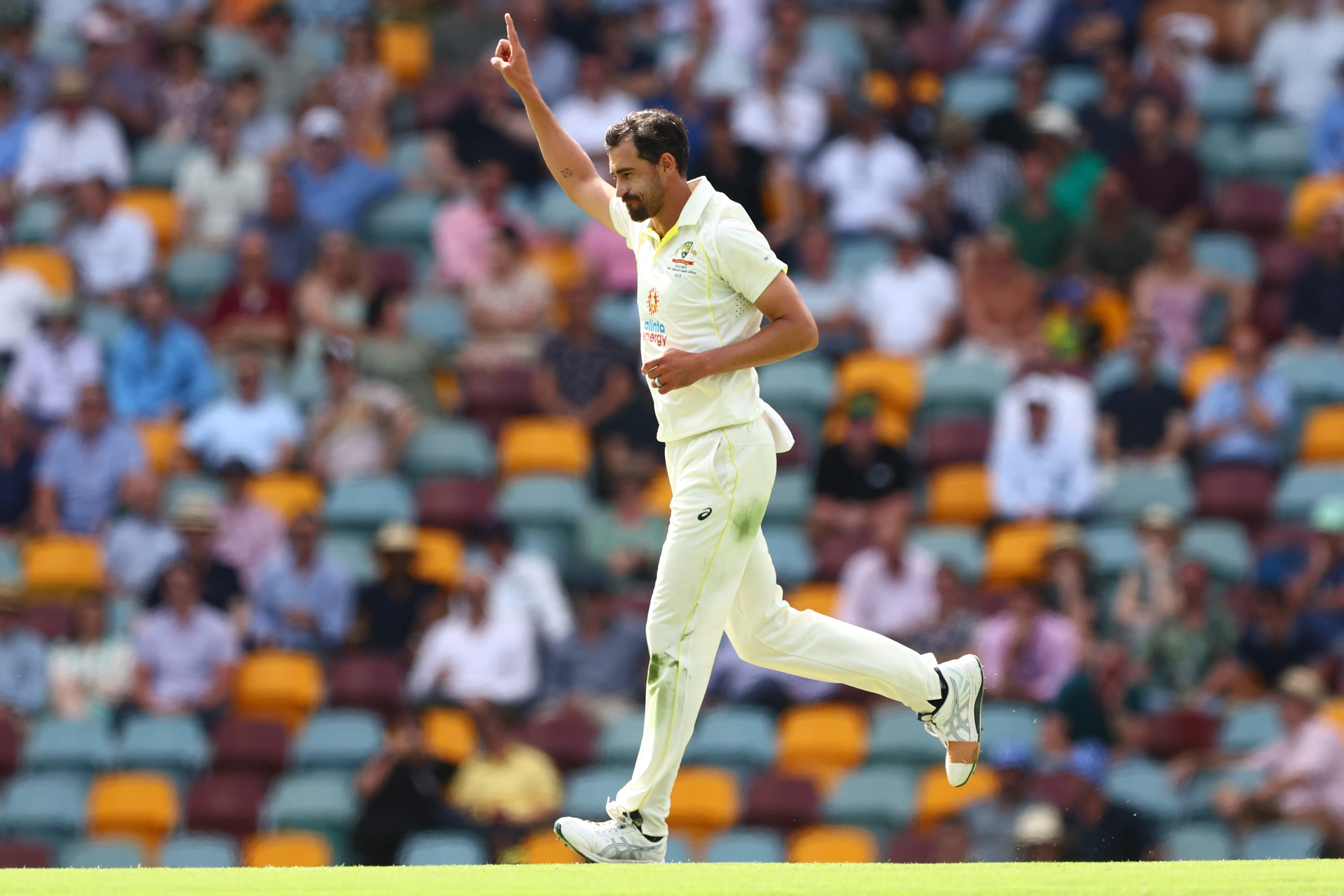 Trenchant and on song, resurgent Mitchell Starc breaks new ground