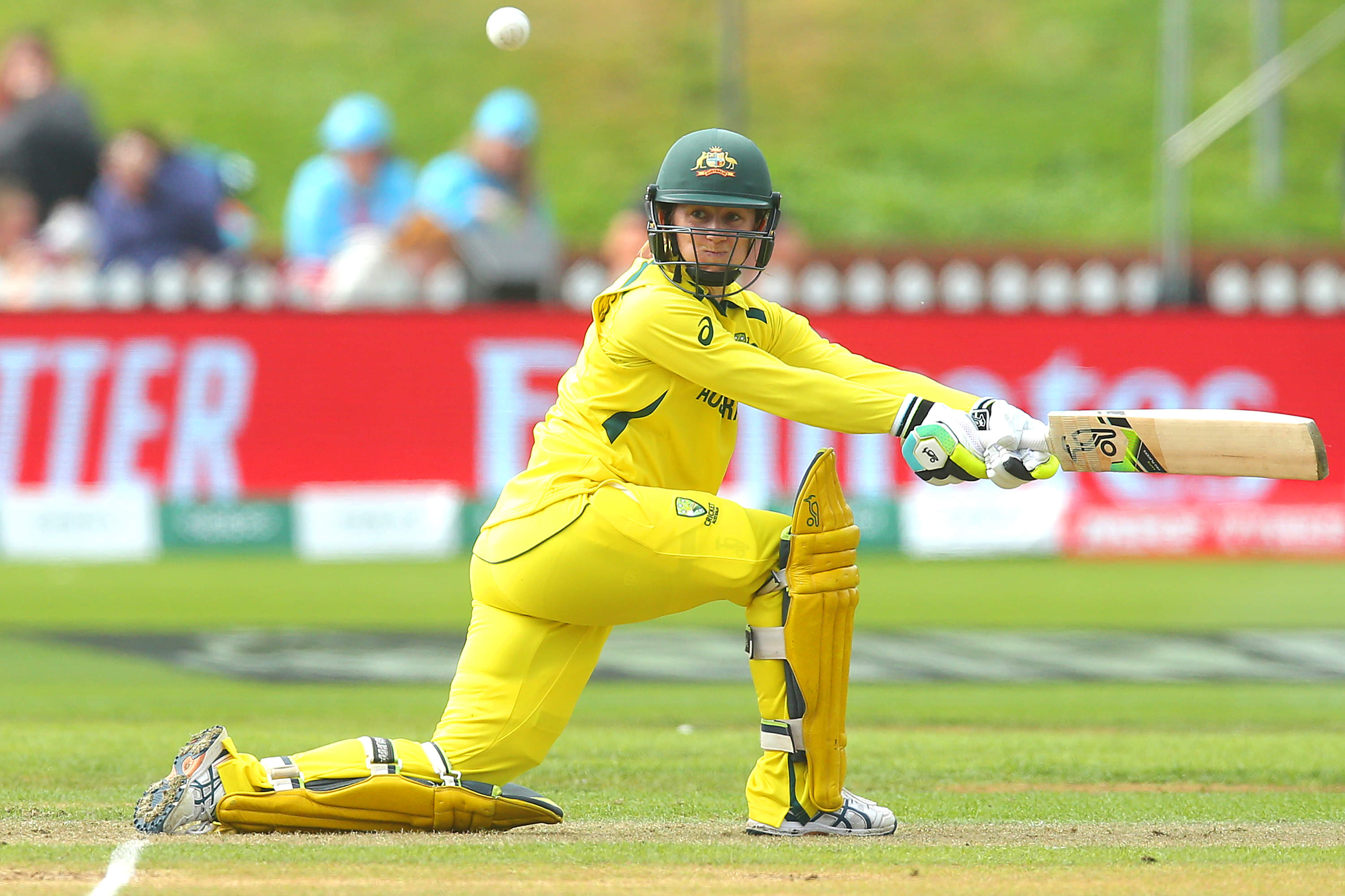 Rachael Haynes appointed Gujarat Giants head coach ahead of WPL 2023