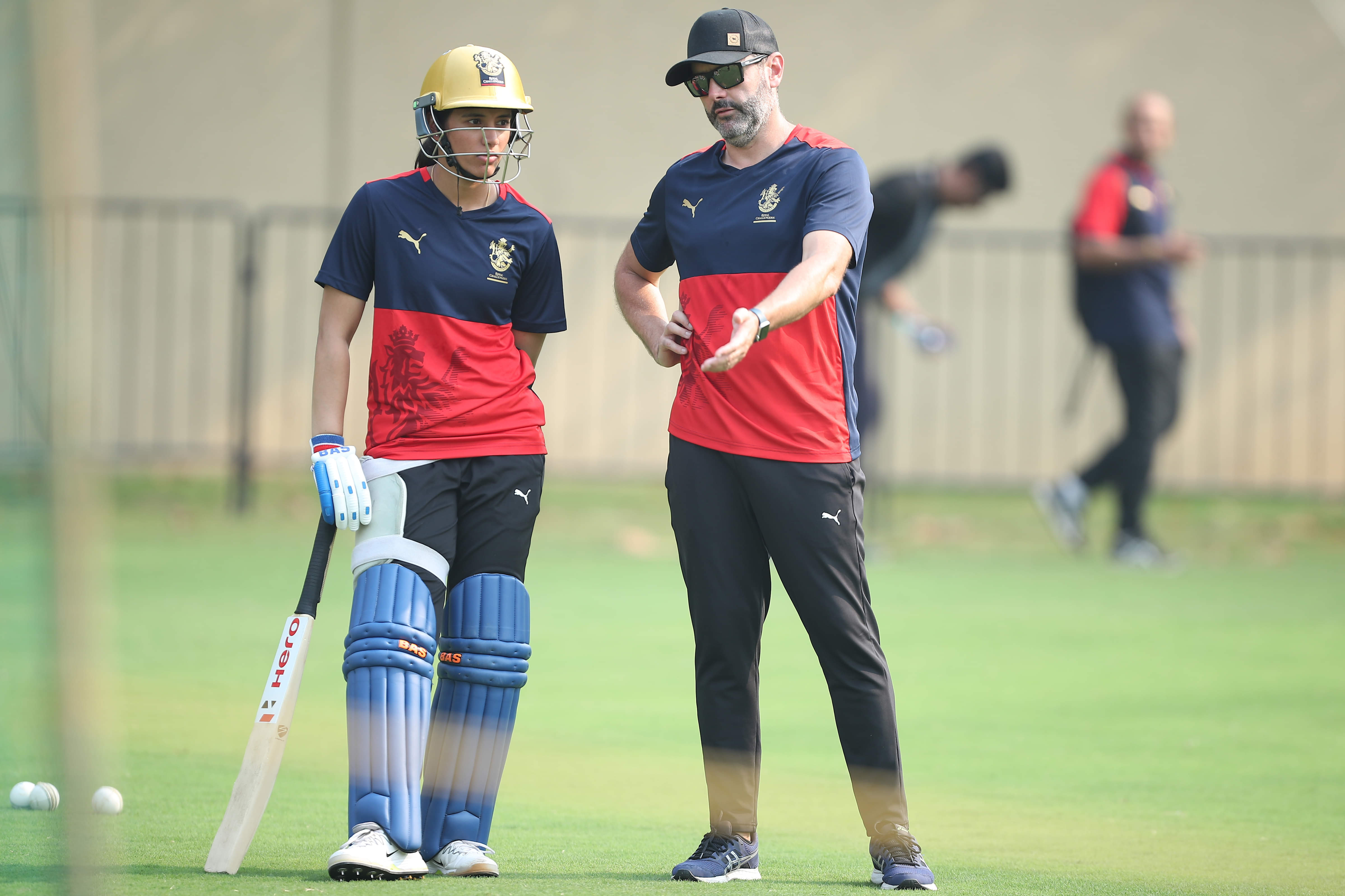 A symphony of wisdom and aggressive youngsters