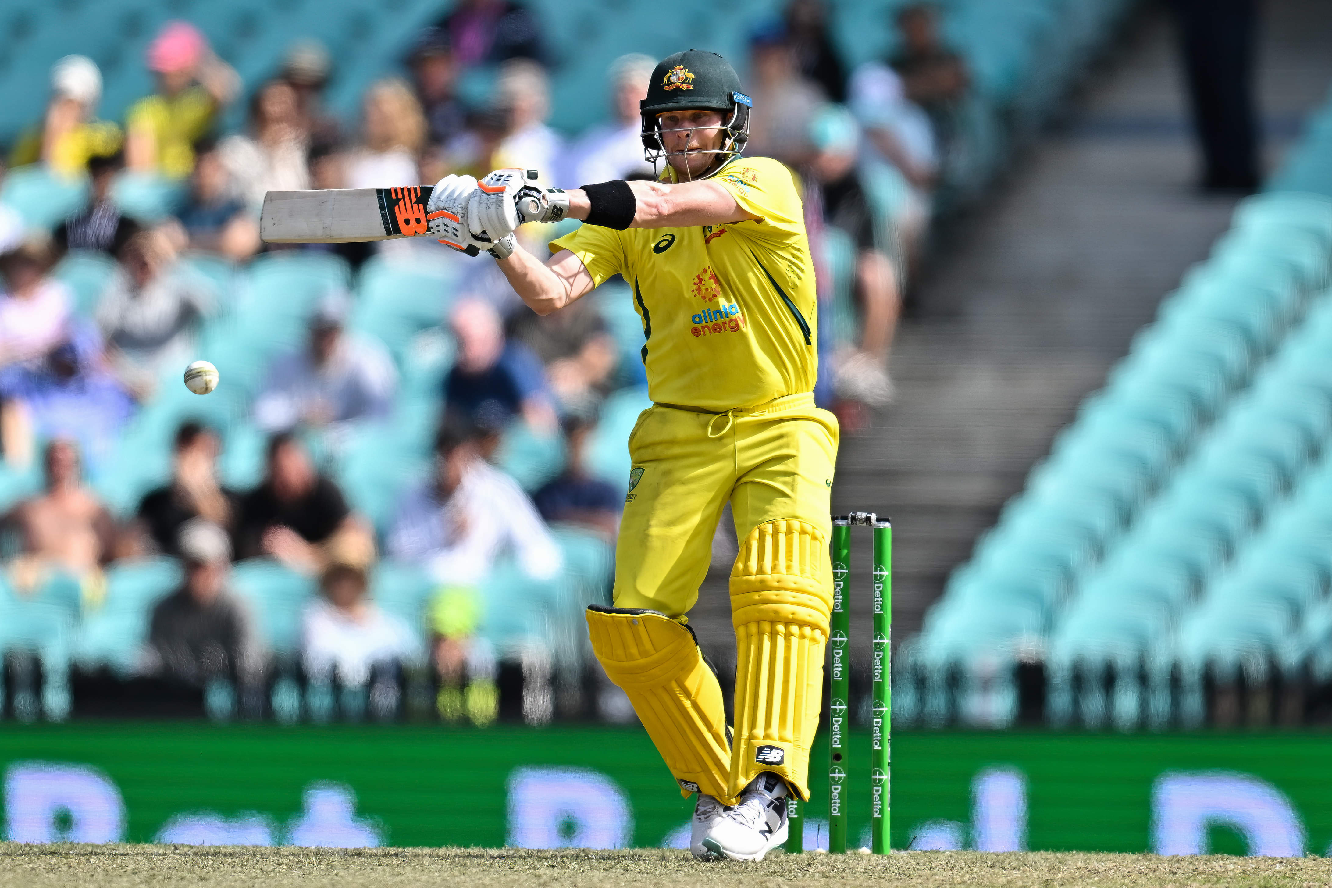Steven Smith to lead Australia in ODIs against India