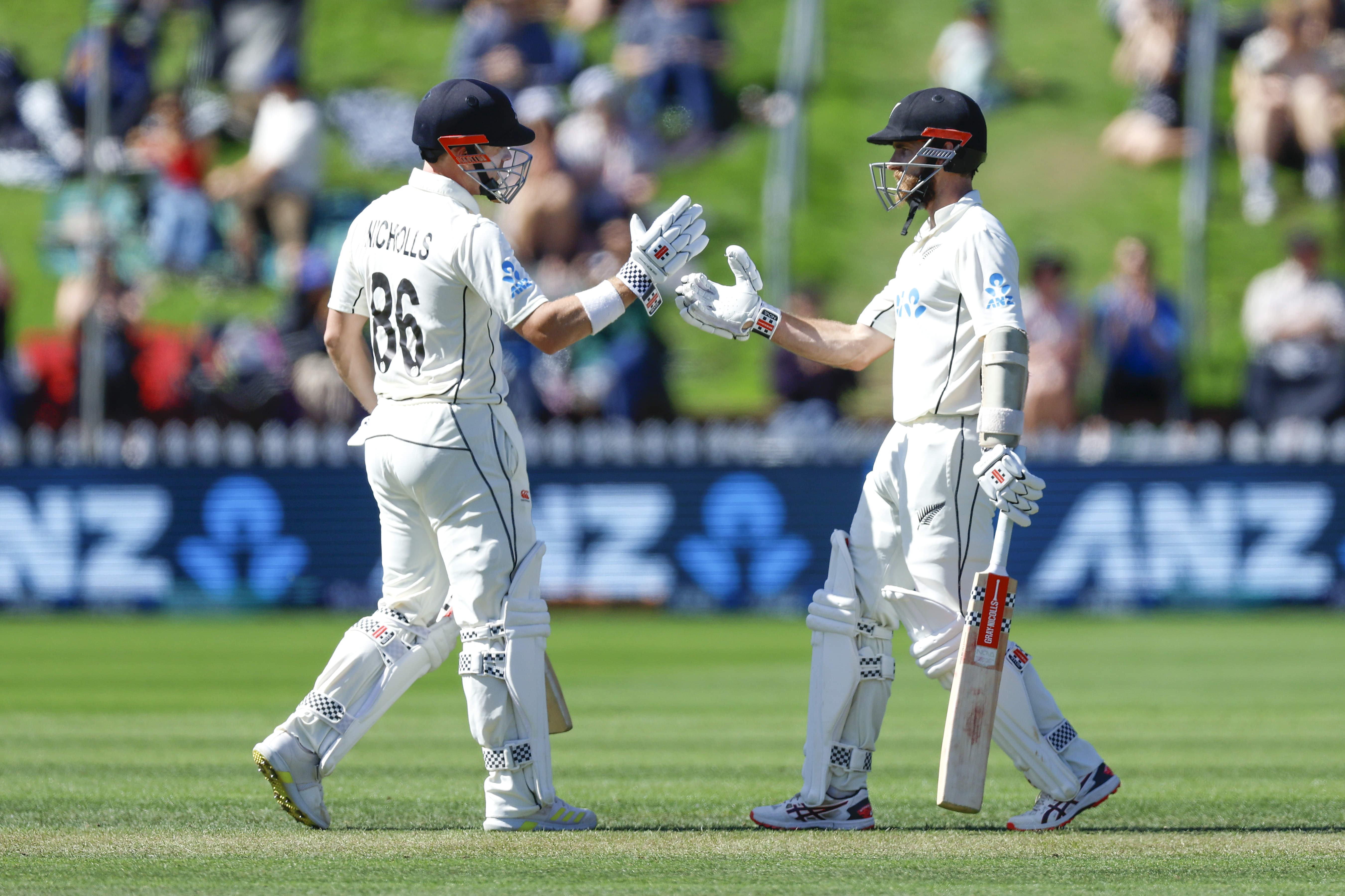 Williamson, Nicholls double tons put New Zealand on top
