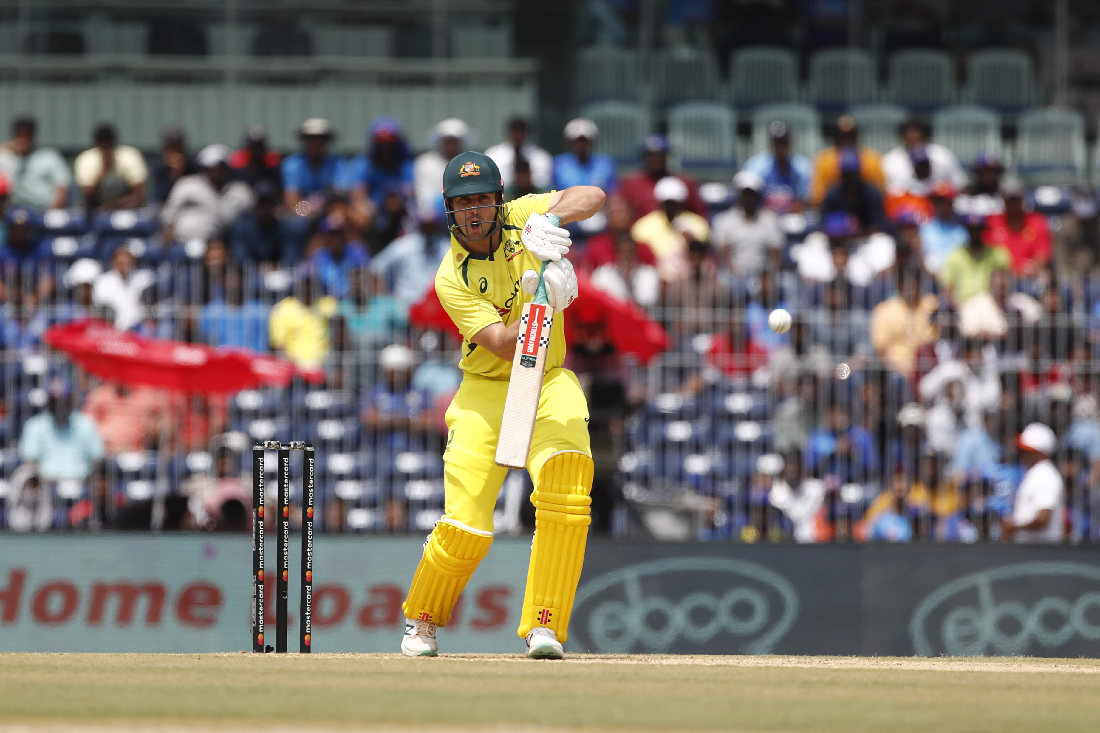 Enjoyed opening the batting but I’m sure Warner will return up top: Mitch Marsh