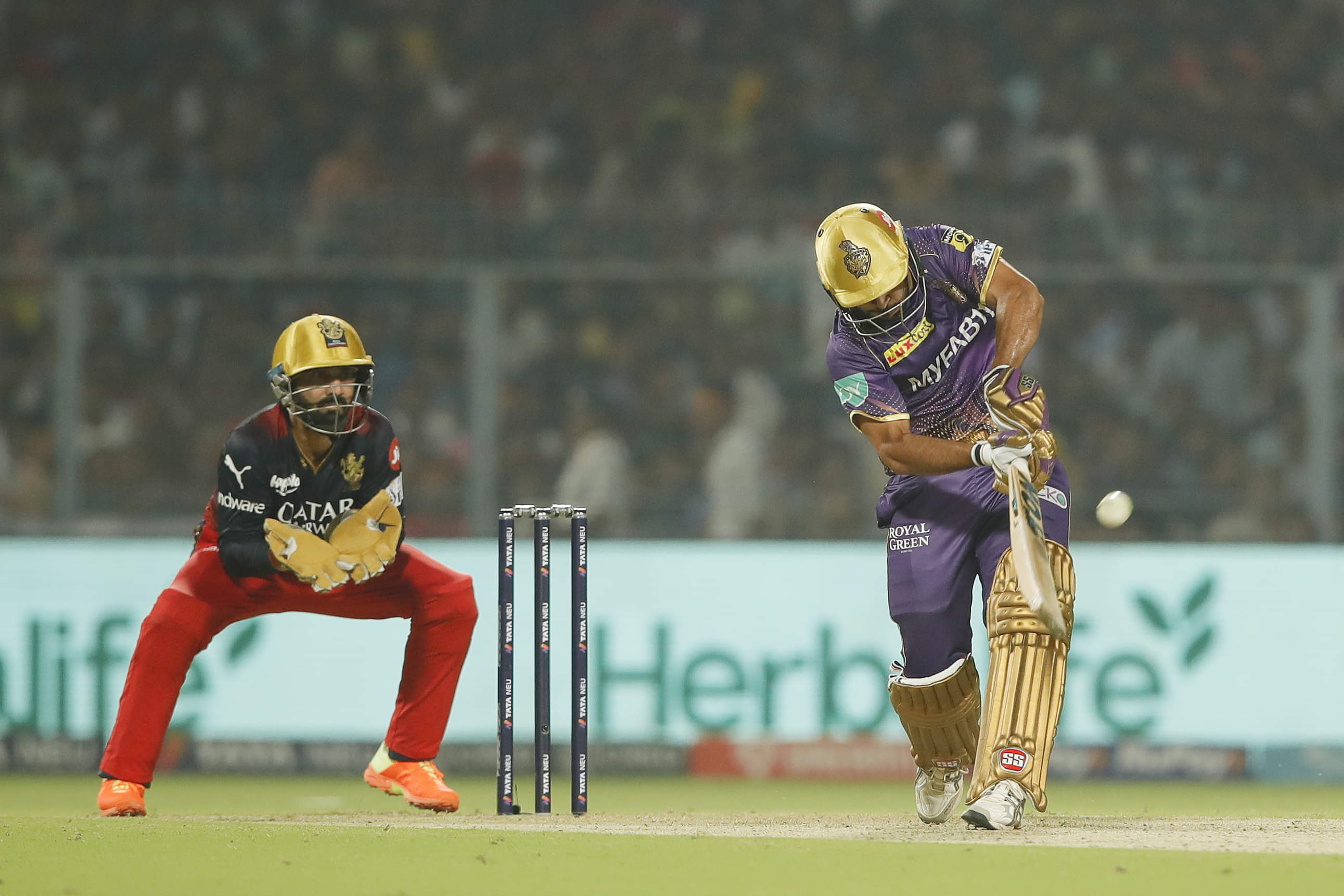 We were pretty average with the bat: Faf du Plessis