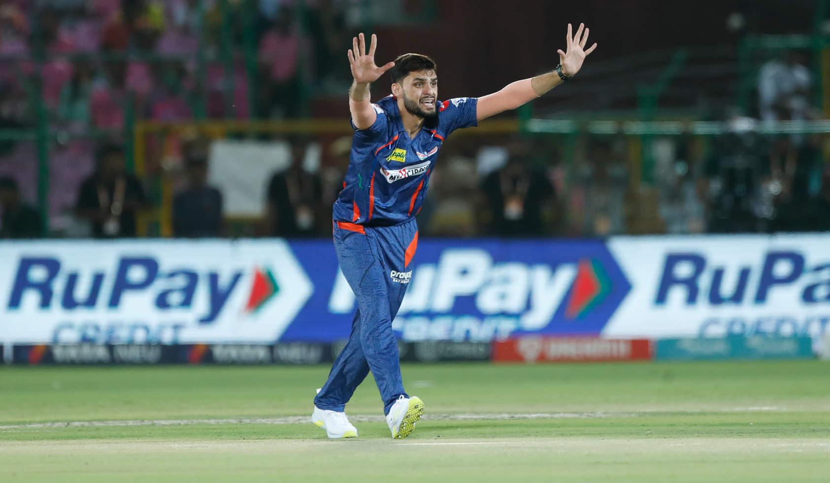 Naveen-ul-Haq: the debutant's tryst with IPL