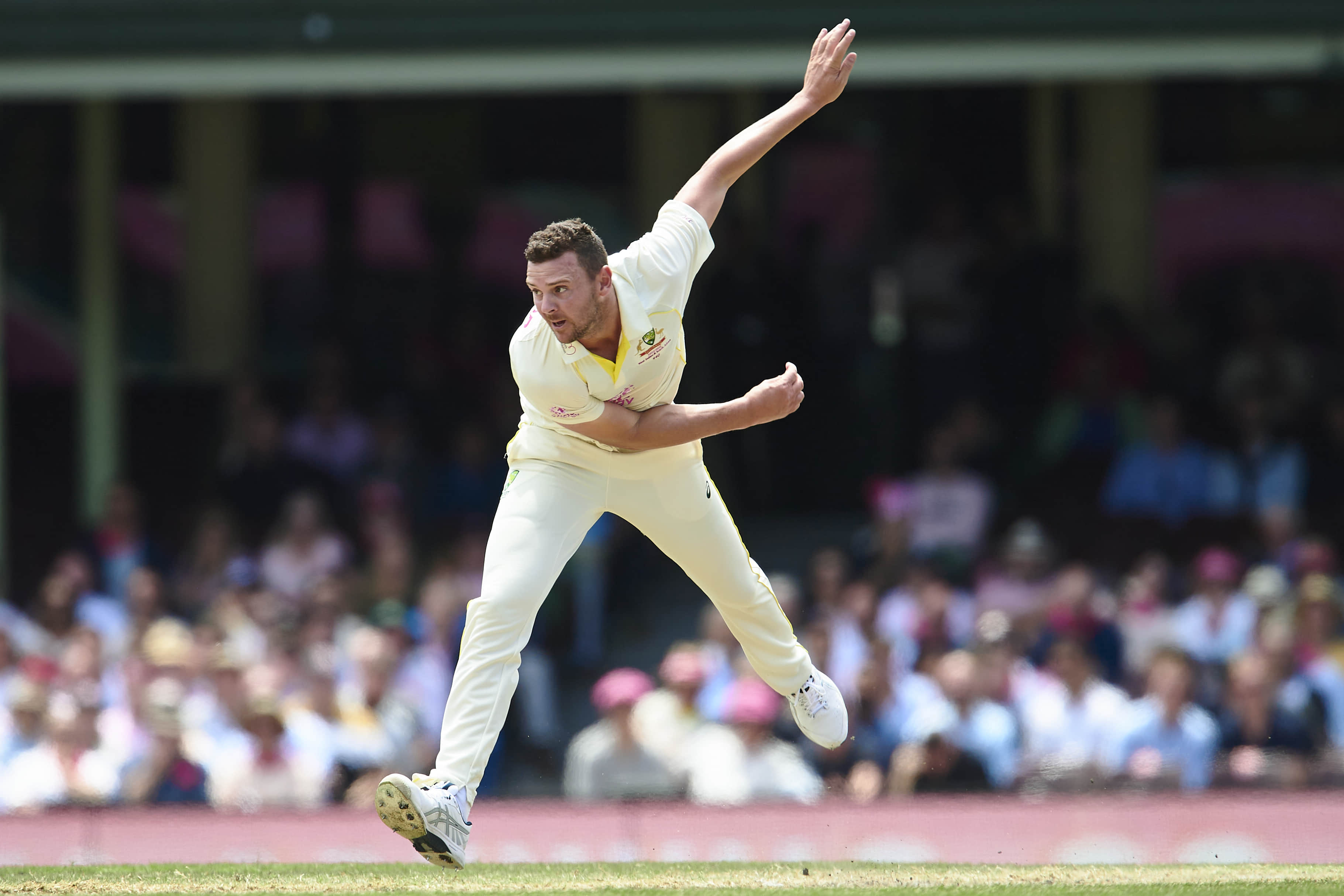 Josh Hazlewood declared fit for WTC final against India