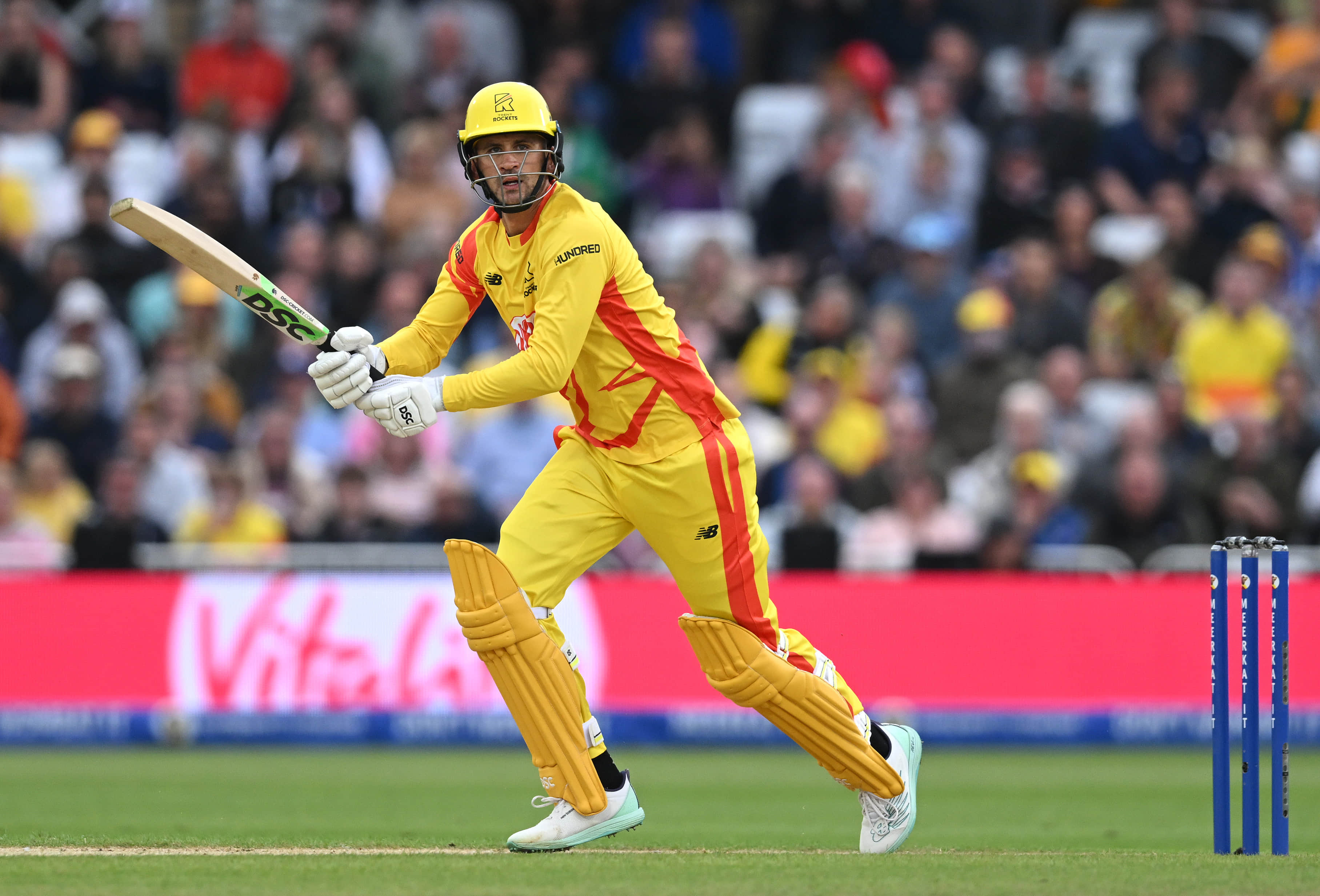 Would've chucked my eggs into the T20 basket at 21: Alex Hales