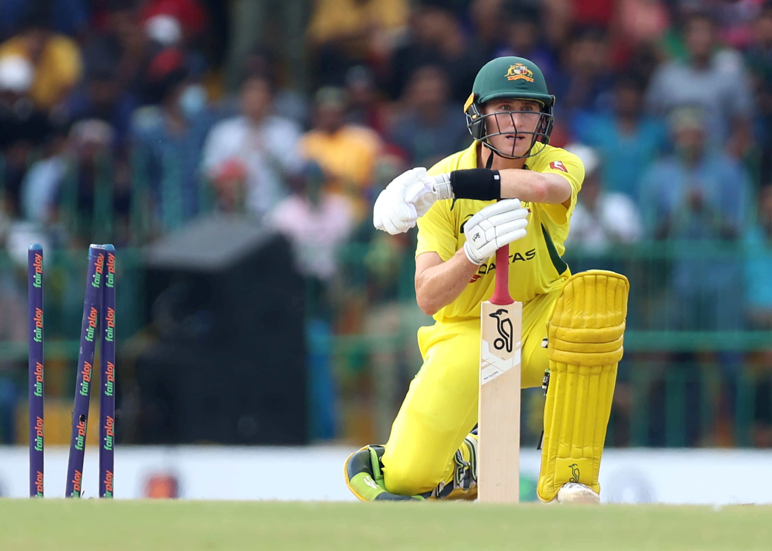 It is form based: Bailey opens up on Labuschagne’s World Cup axe