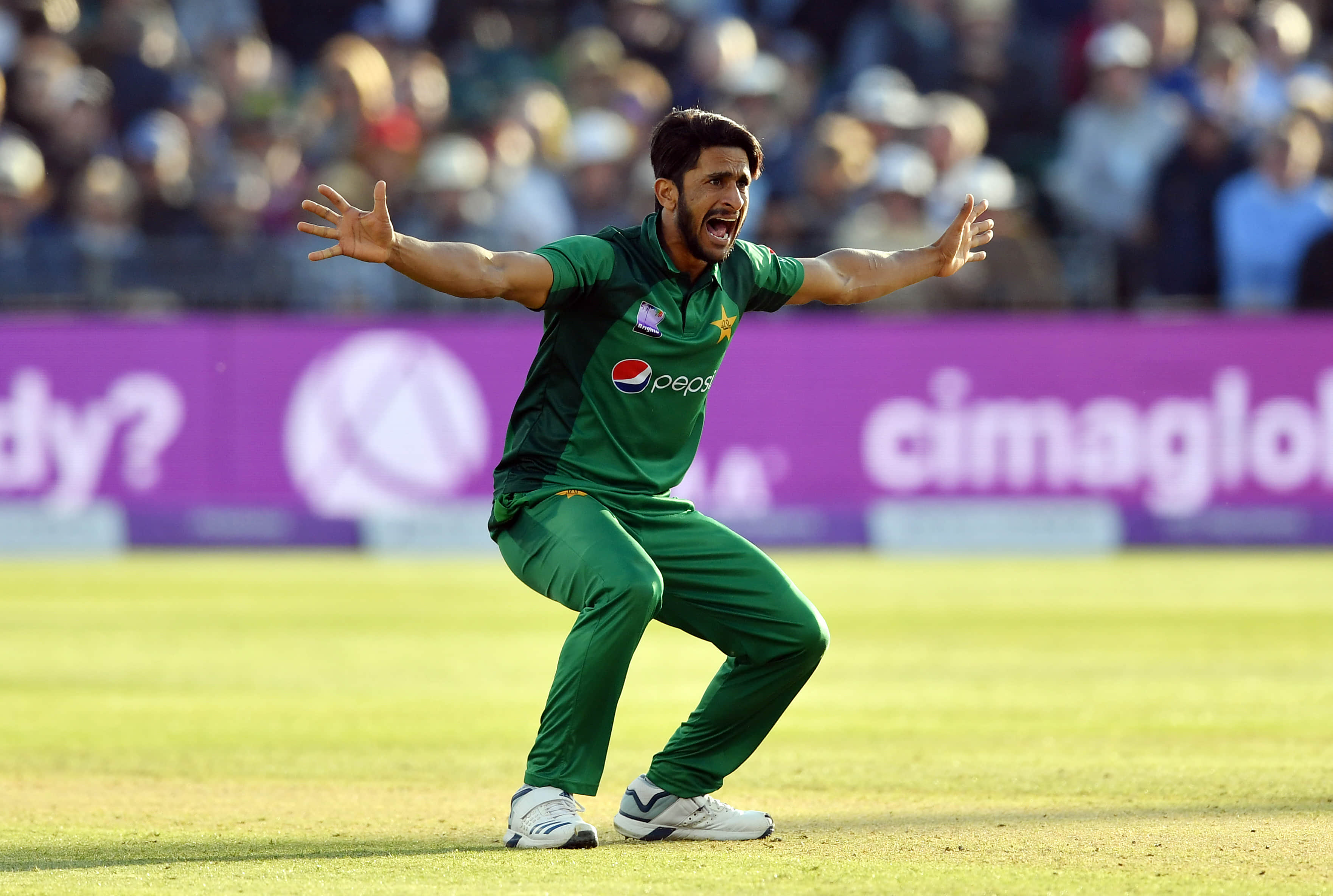 Hasan Ali makes shocking comeback as Pakistan announce World Cup squad
