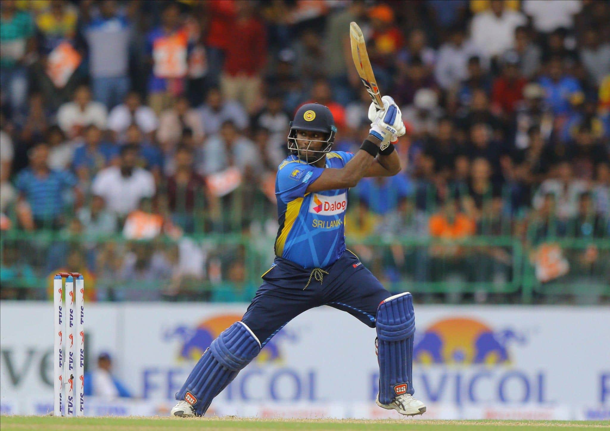 Mathews and Chameera join as travelling reserves for World Cup remainder