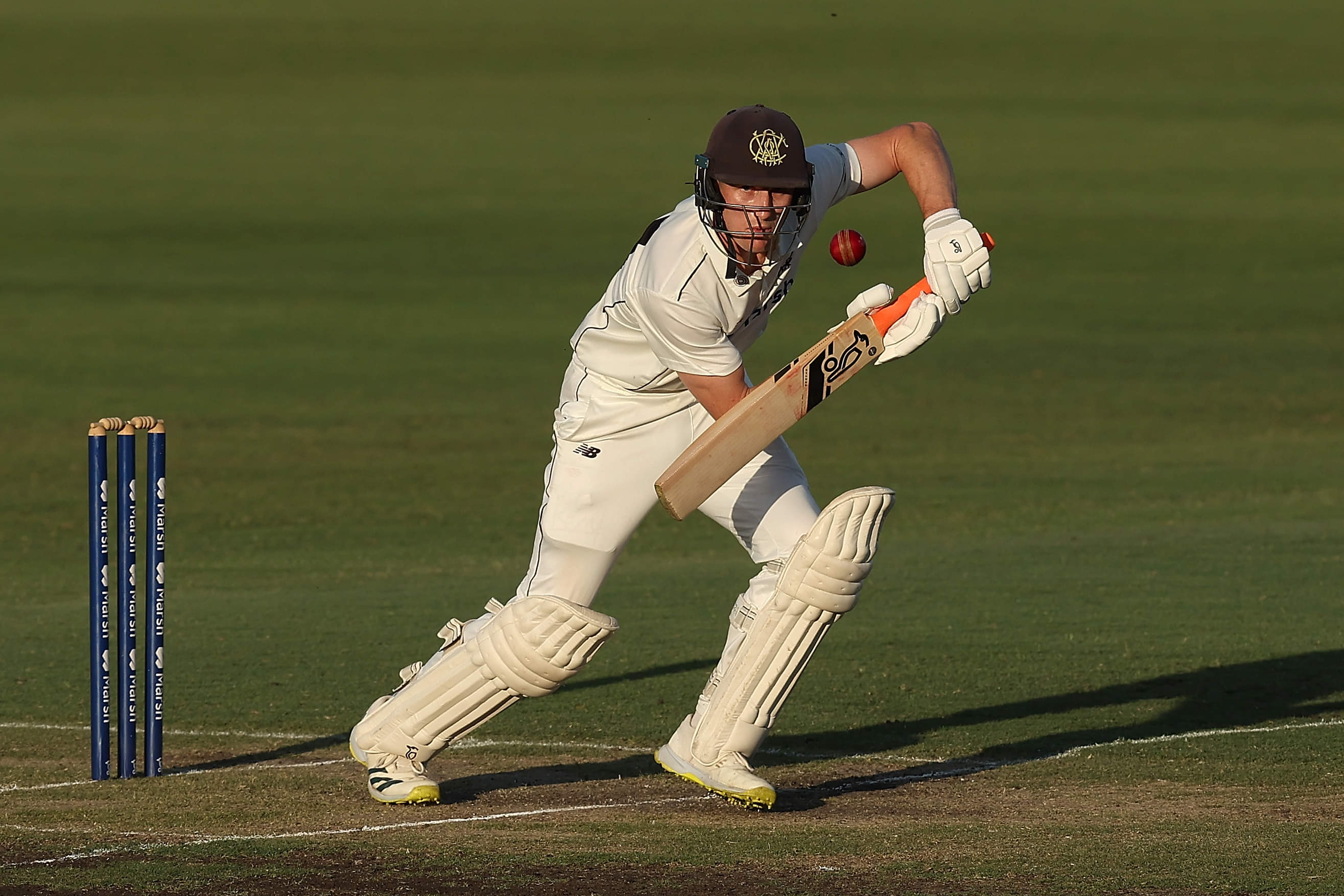 Bancroft should have the first crack at opening spot: Ponting