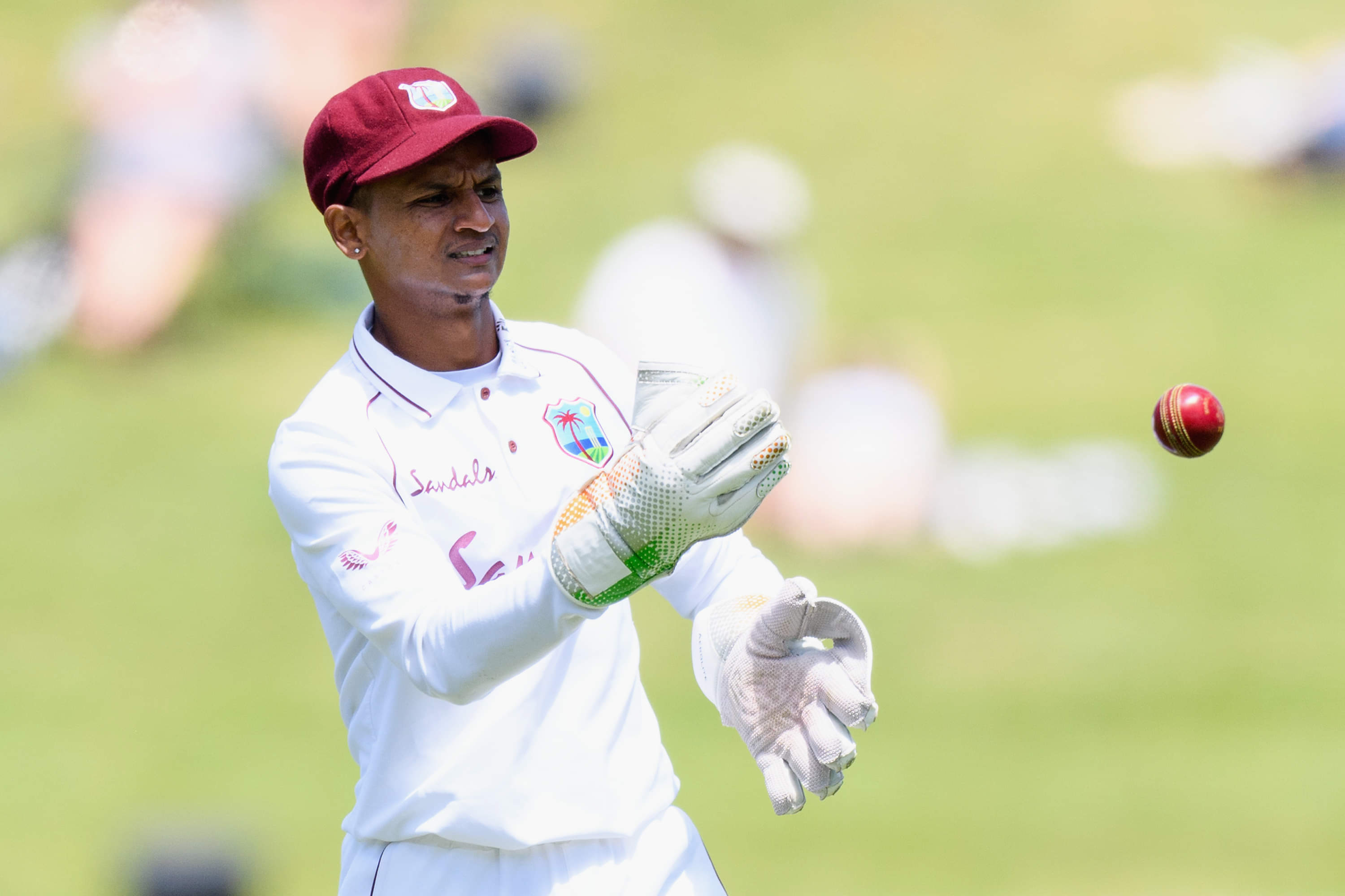 Shane Dowrich retires from international cricket