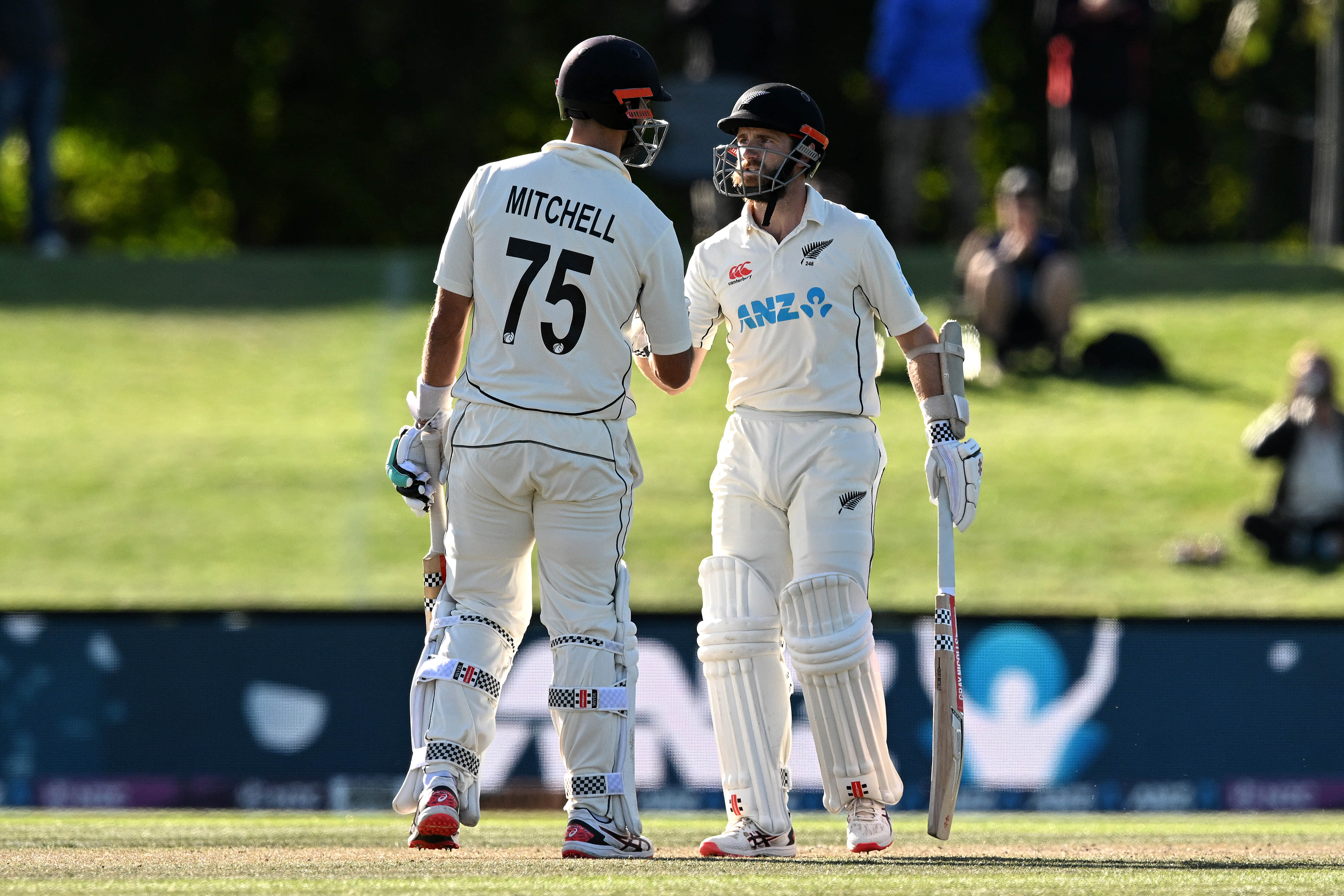 Fantasy: Back Williamson to reign supreme against depleted South Africa