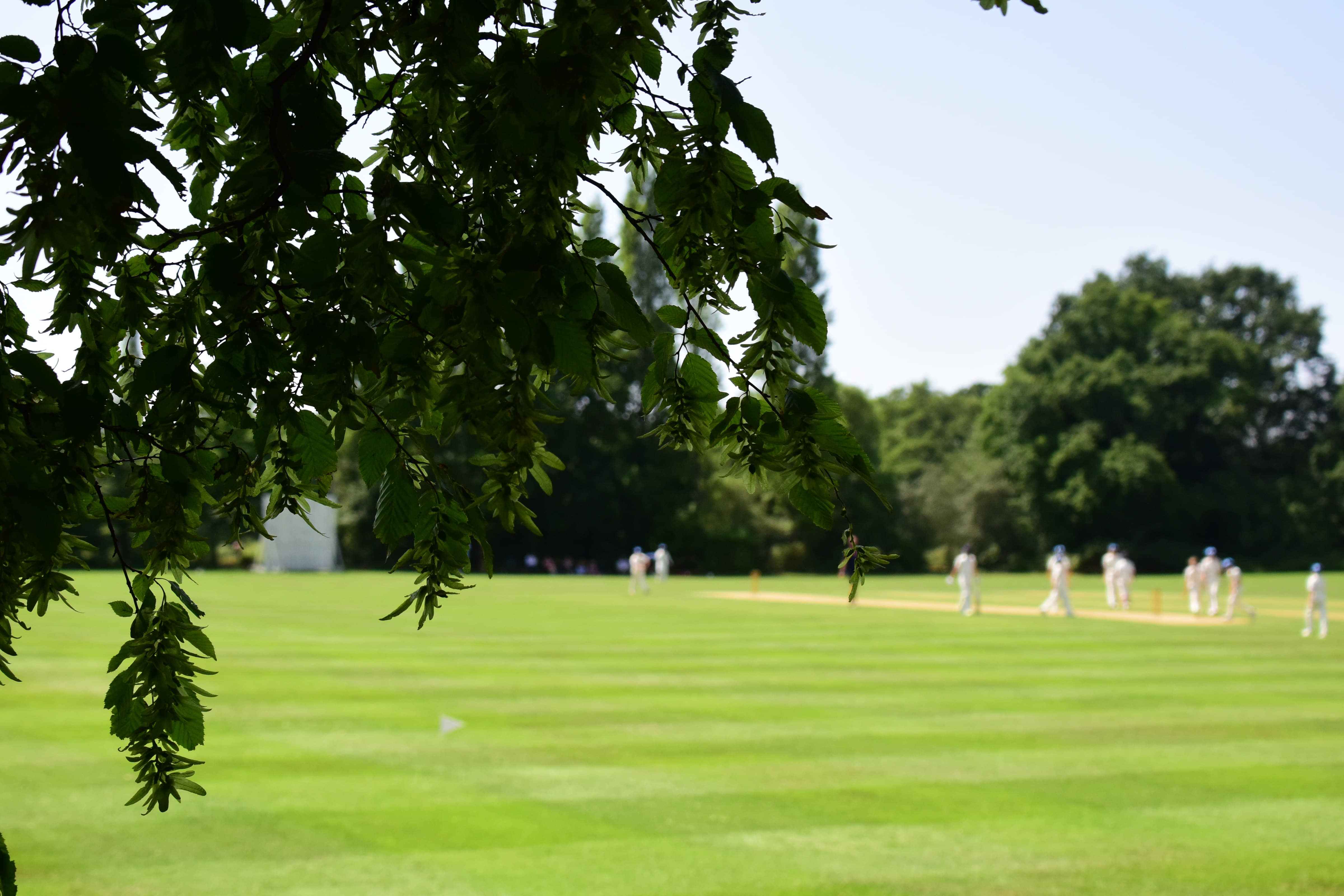 Ranji Trophy: Hitesh Walunj’s 14-wicket rout headlines bowler-dominated week