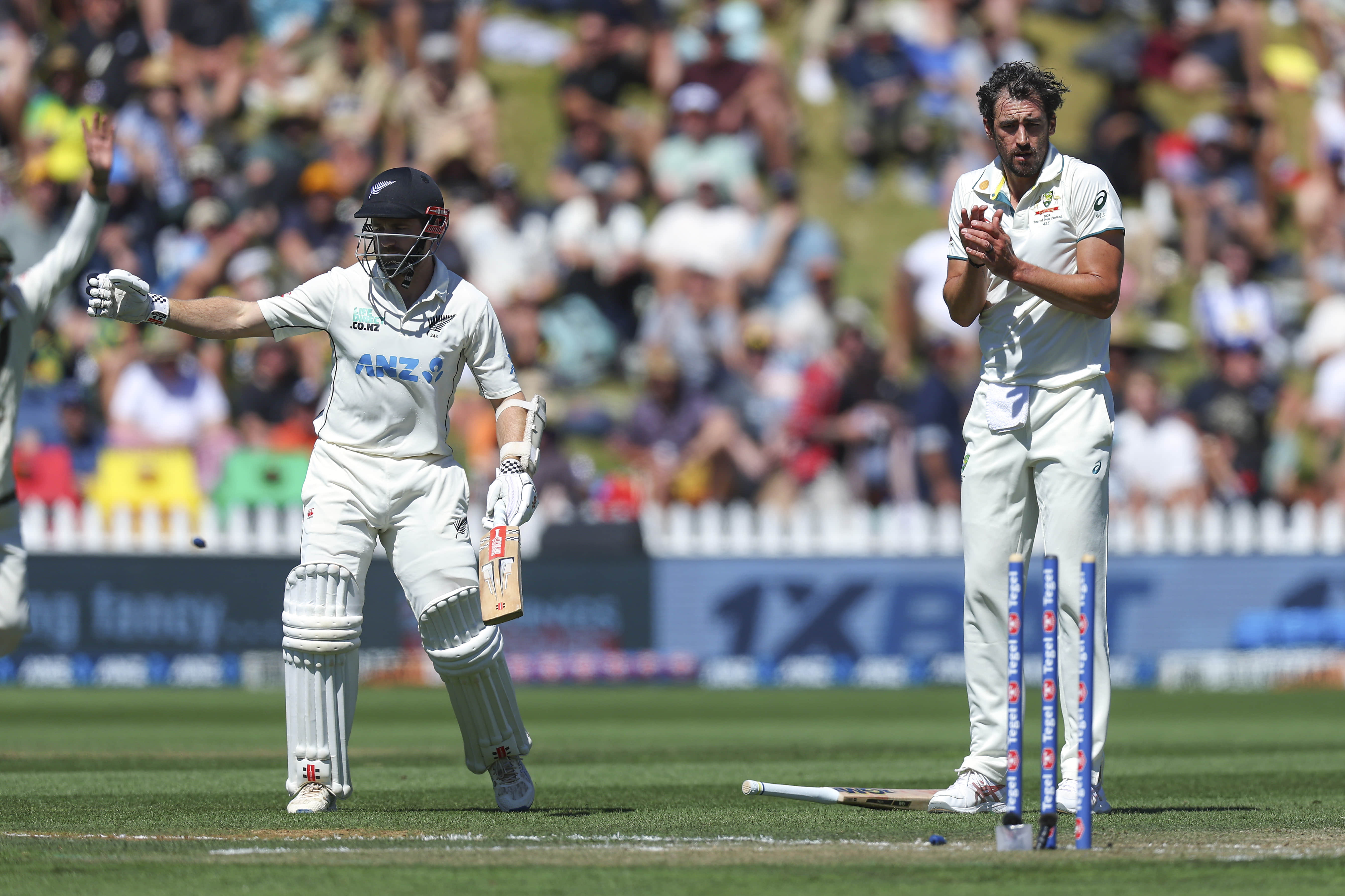 Tragicomic Williamson run-out sums up New Zealand’s horror morning