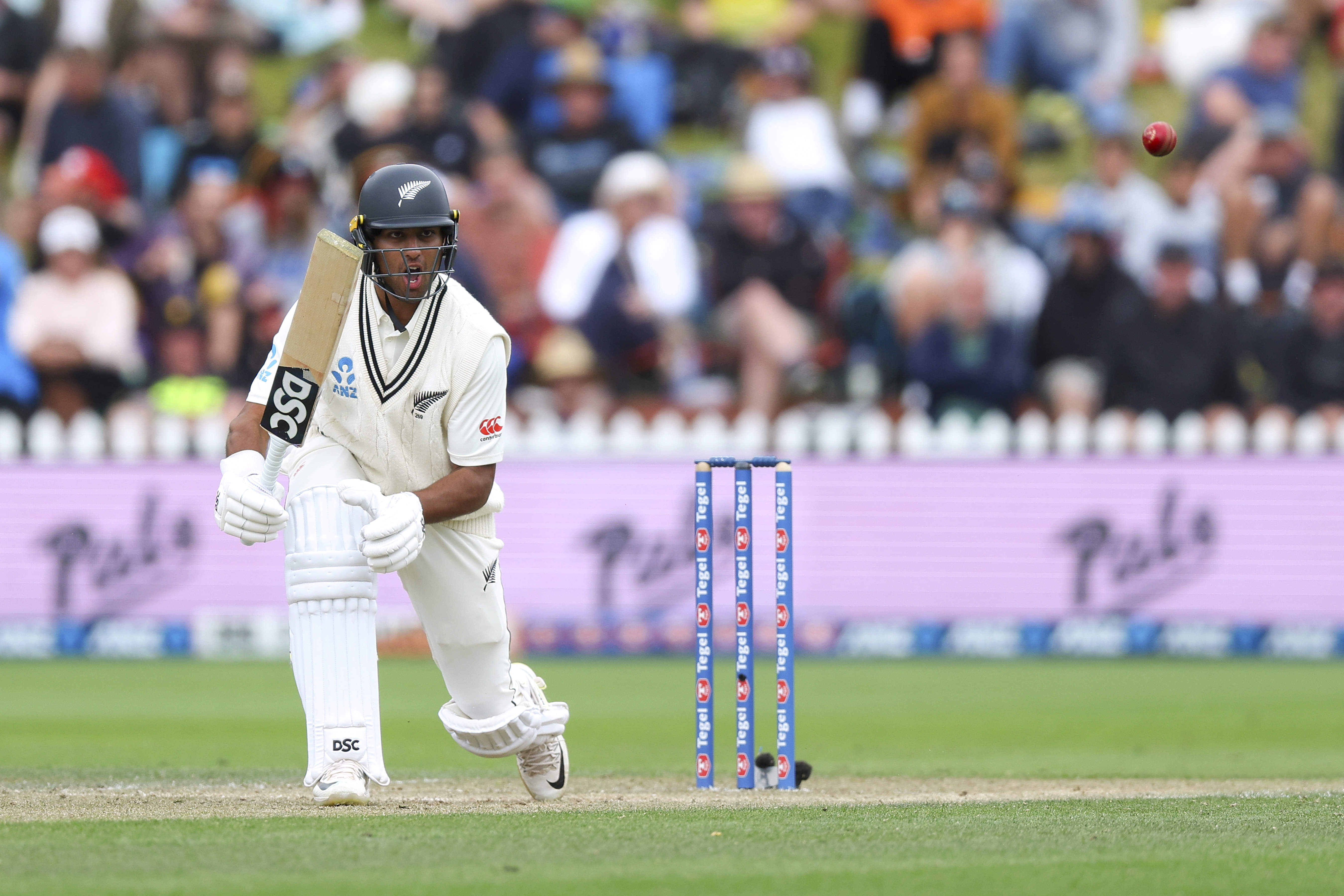 Ravindra’s nerveless fifty, reckless AUS batting, Williamson’s rare failure & more 