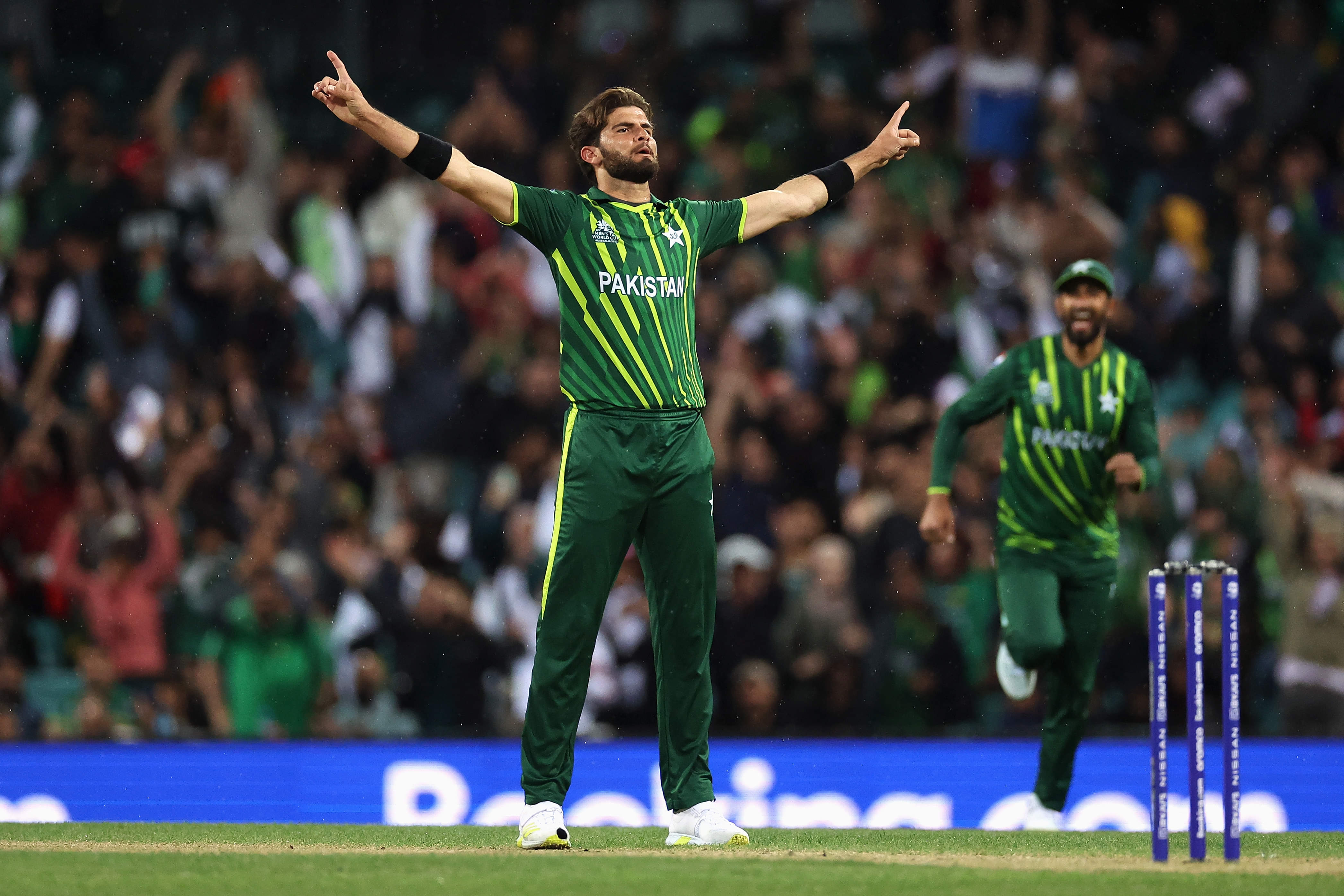 Shaheen and Imad are essential for your fantasy fortunes 