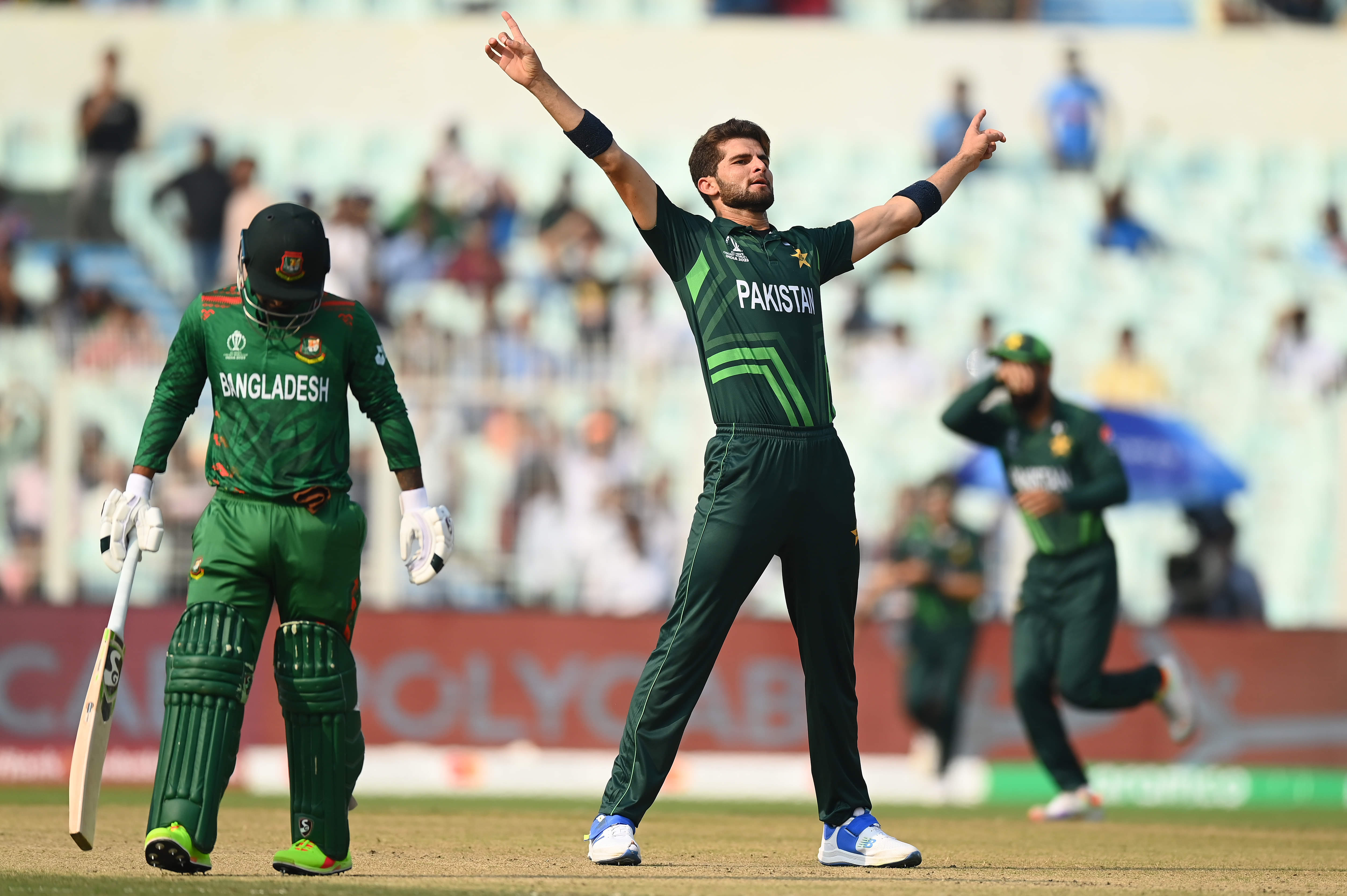 Make Shaheen Afridi and Phil Salt the stars of your fantasy team 