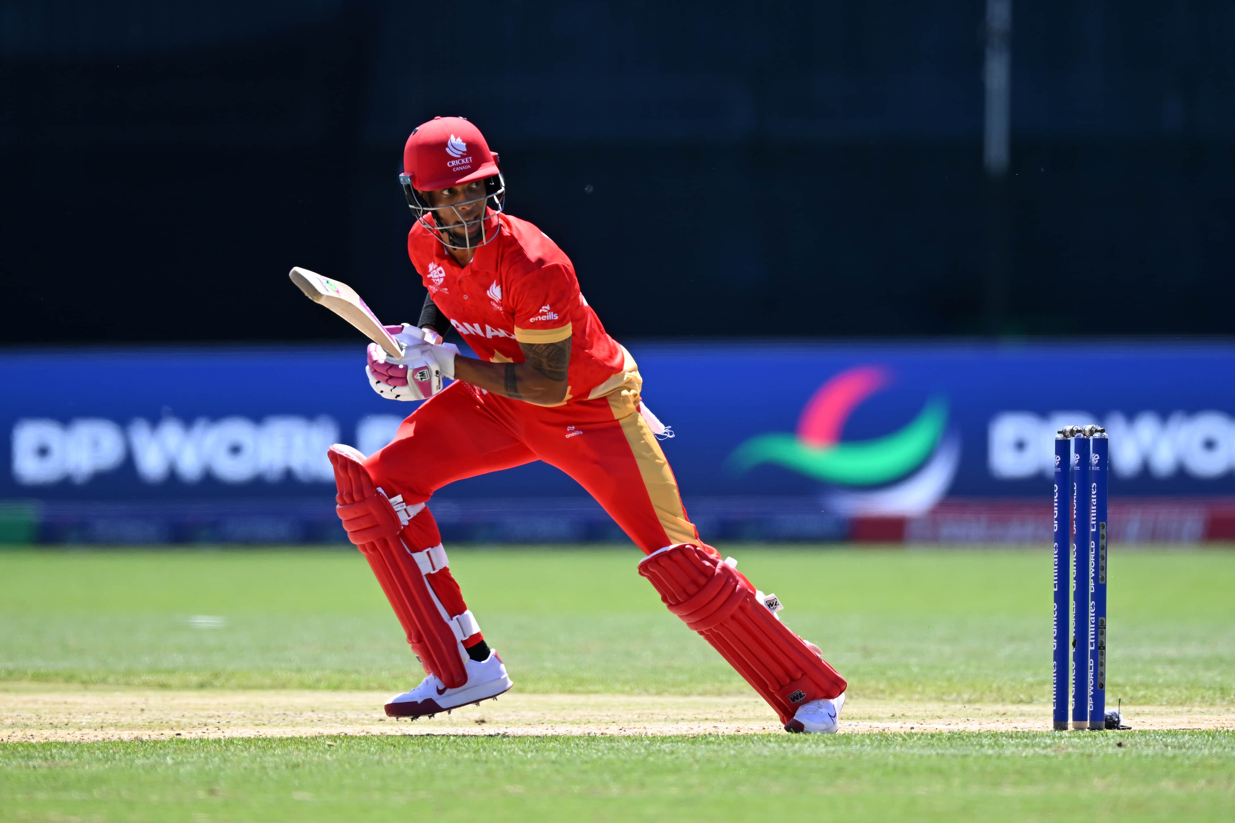 This Nicholas is good too