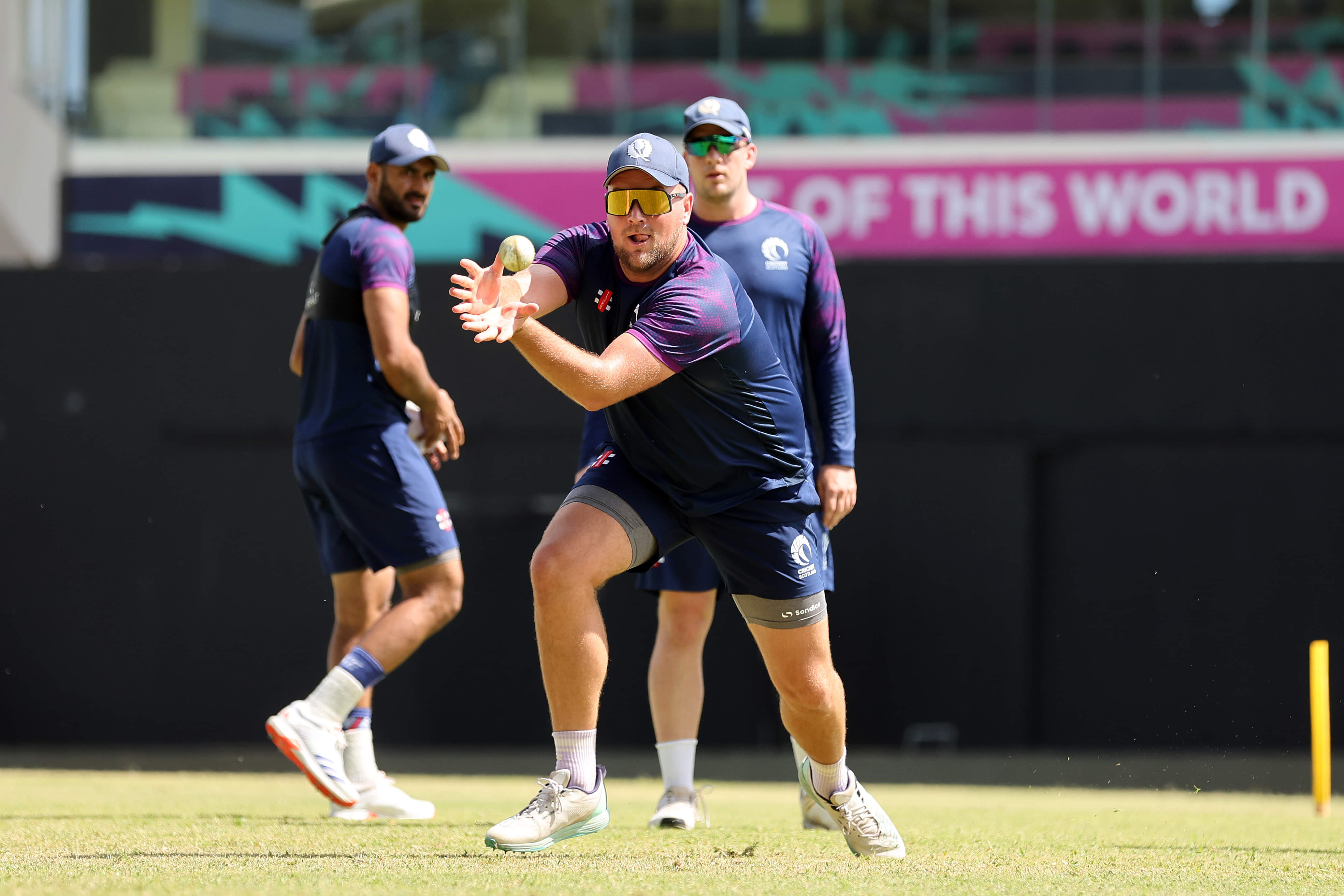 We always do our homework and go 110% into a game: Watt