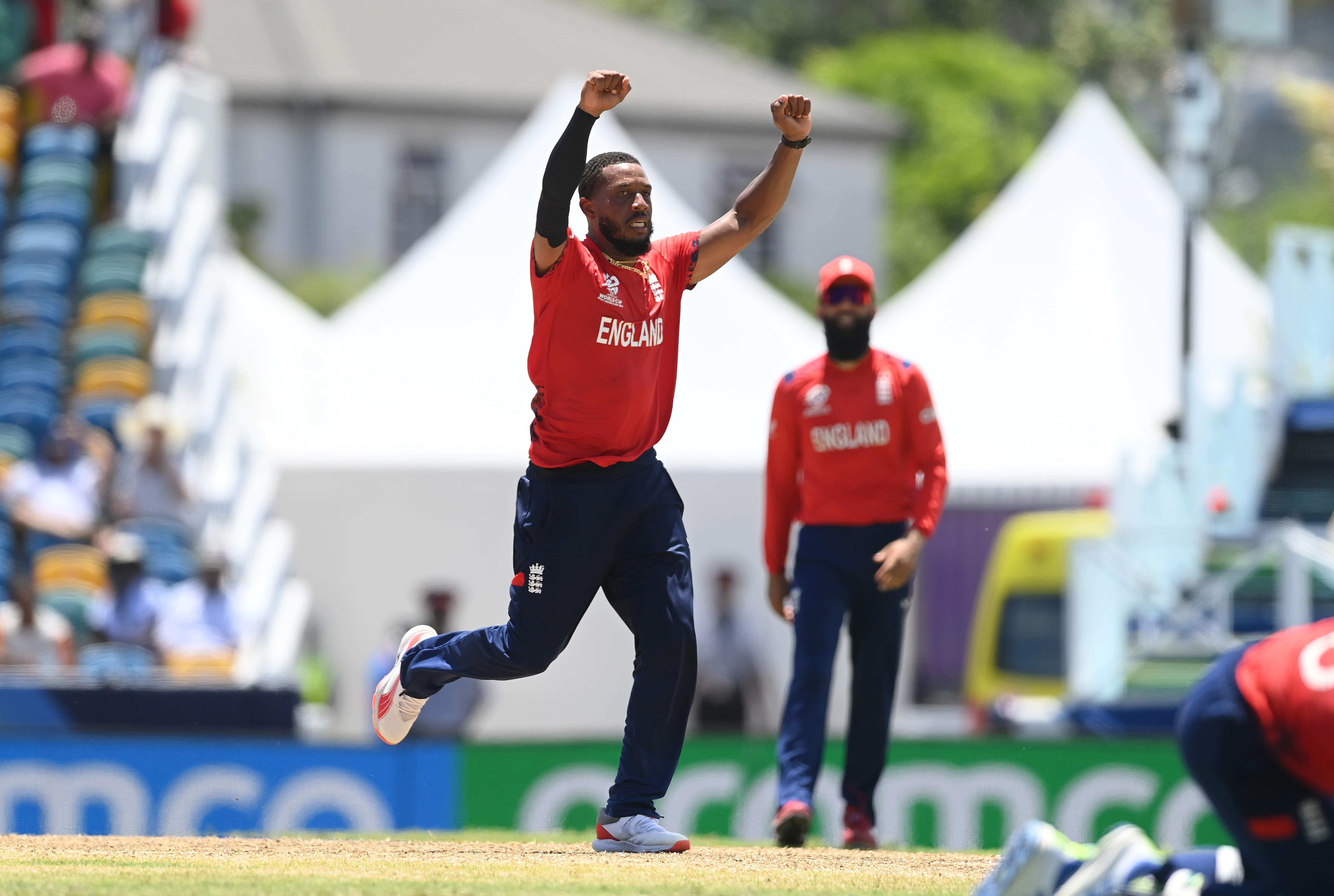 Bumps on the road made our direction clear: Chris Jordan