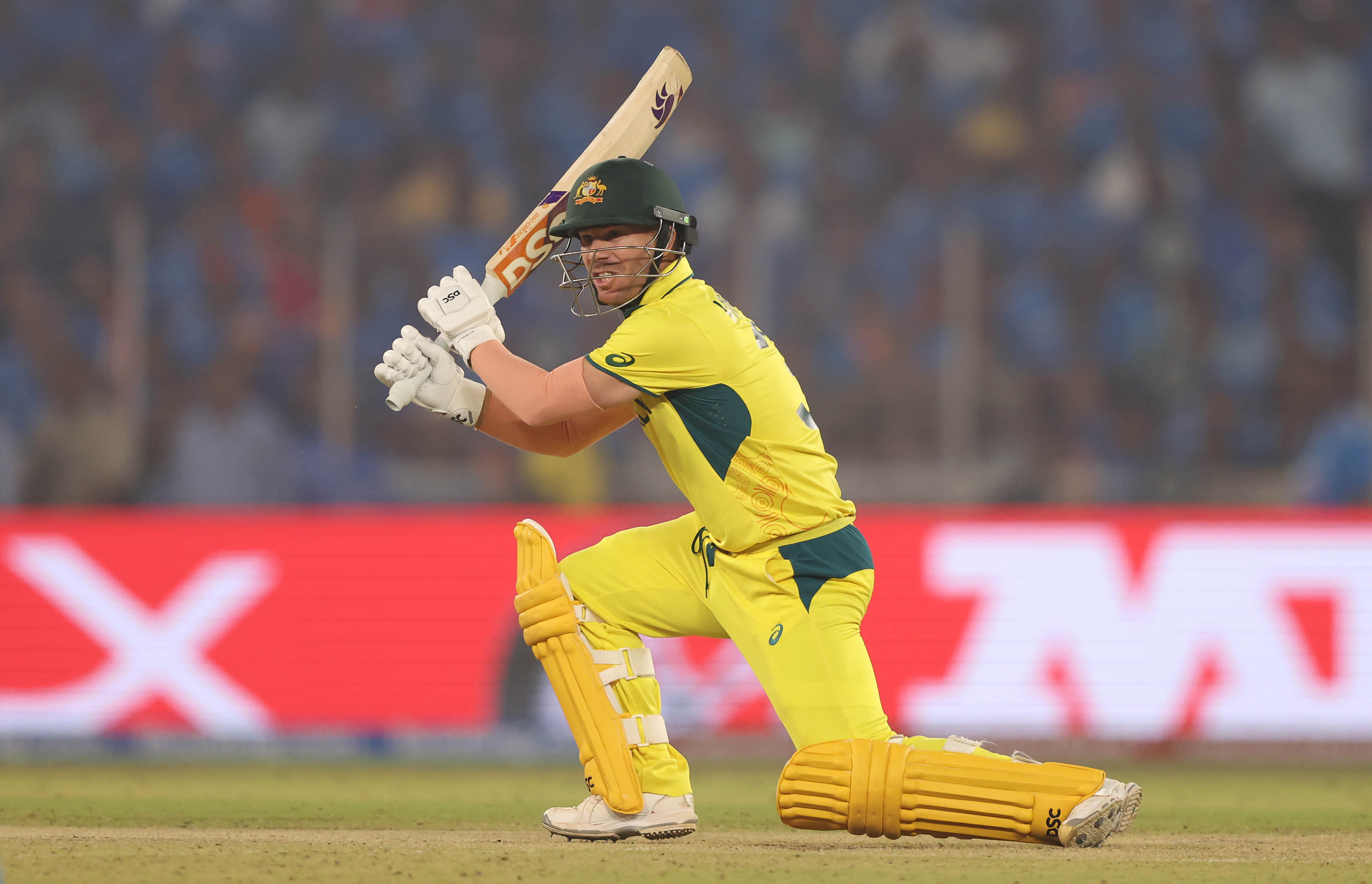 Open to playing in the Champions Trophy if selected: David Warner