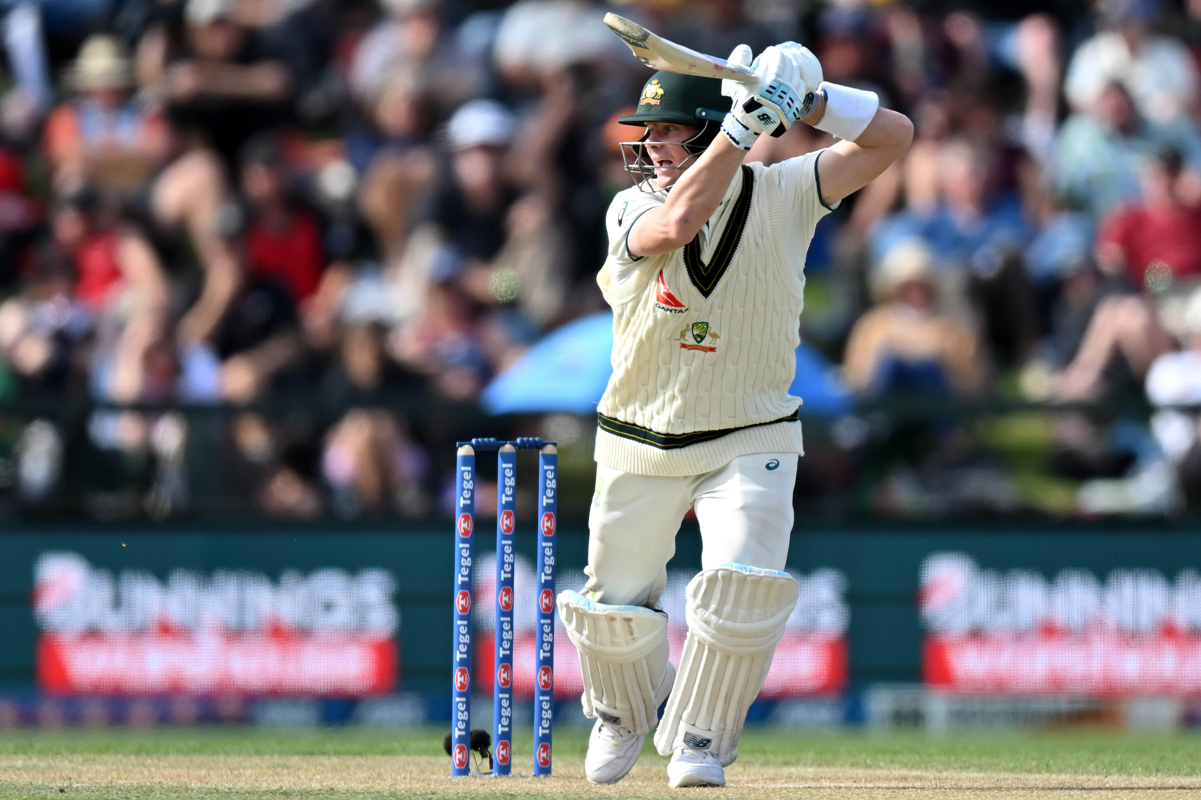 Steve Smith will bat at No.4 against India, confirms George Bailey