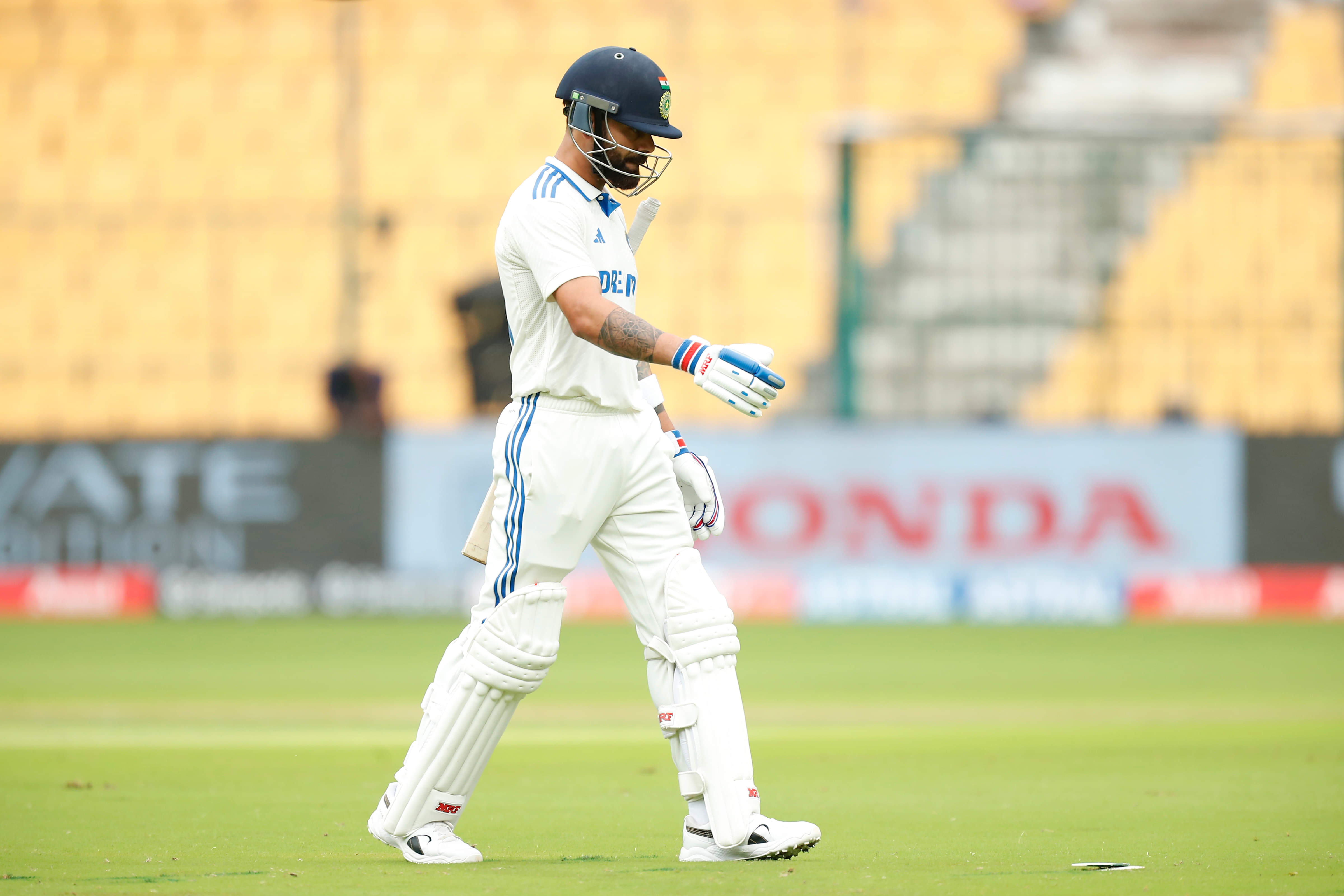 India register record number of ducks in Bengaluru